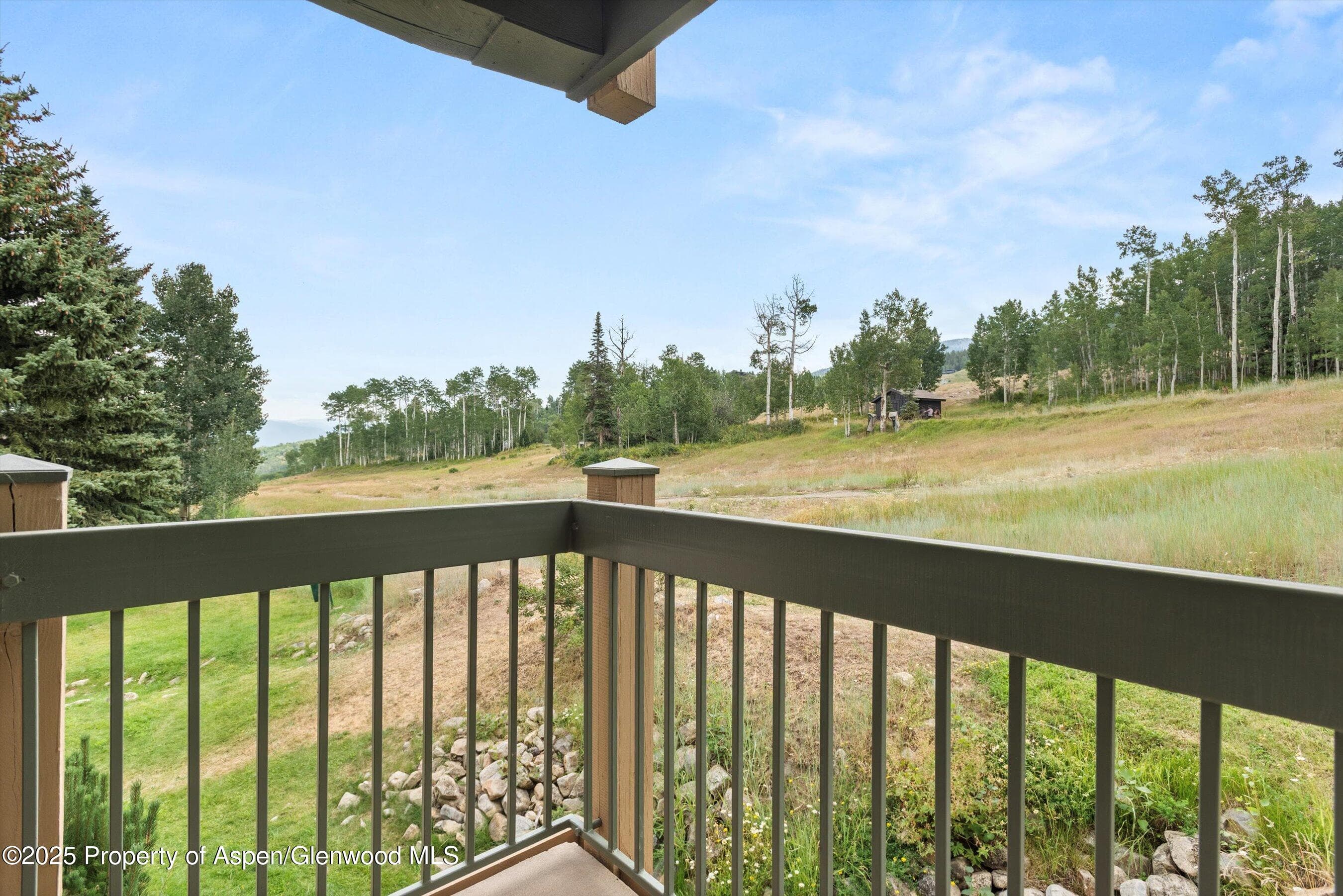 855 Carriage Way Summit 203, Snowmass Village, CO 81615 - Photo 18