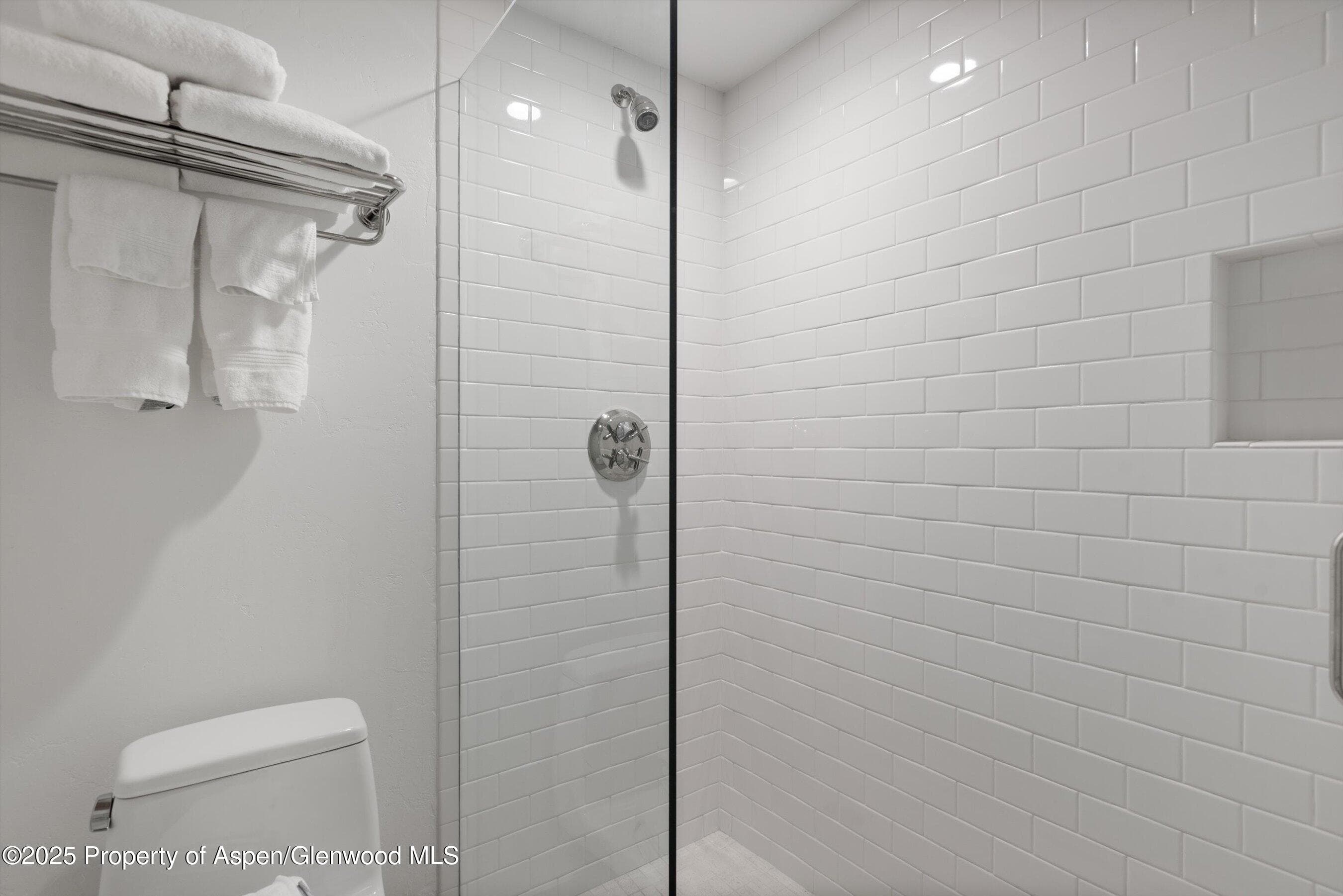 855 Carriage Way Summit 203, Snowmass Village, CO 81615 - Photo 15