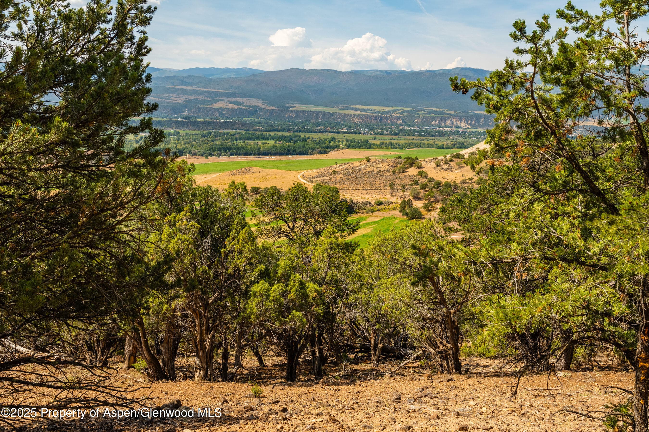 TBD Wooden Deer Road, Carbondale, CO 81623 - Photo 8