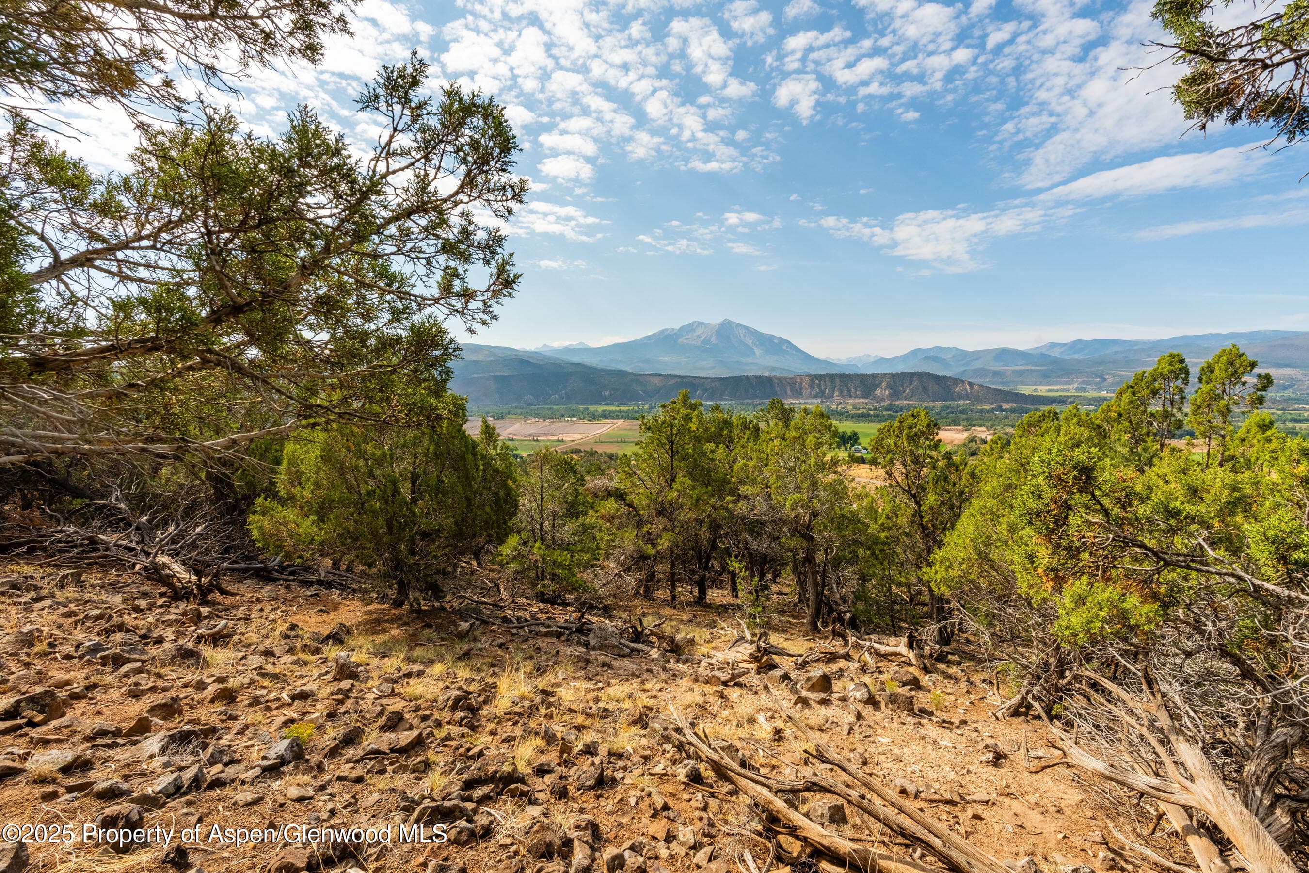 TBD Wooden Deer Road, Carbondale, CO 81623 - Photo 7