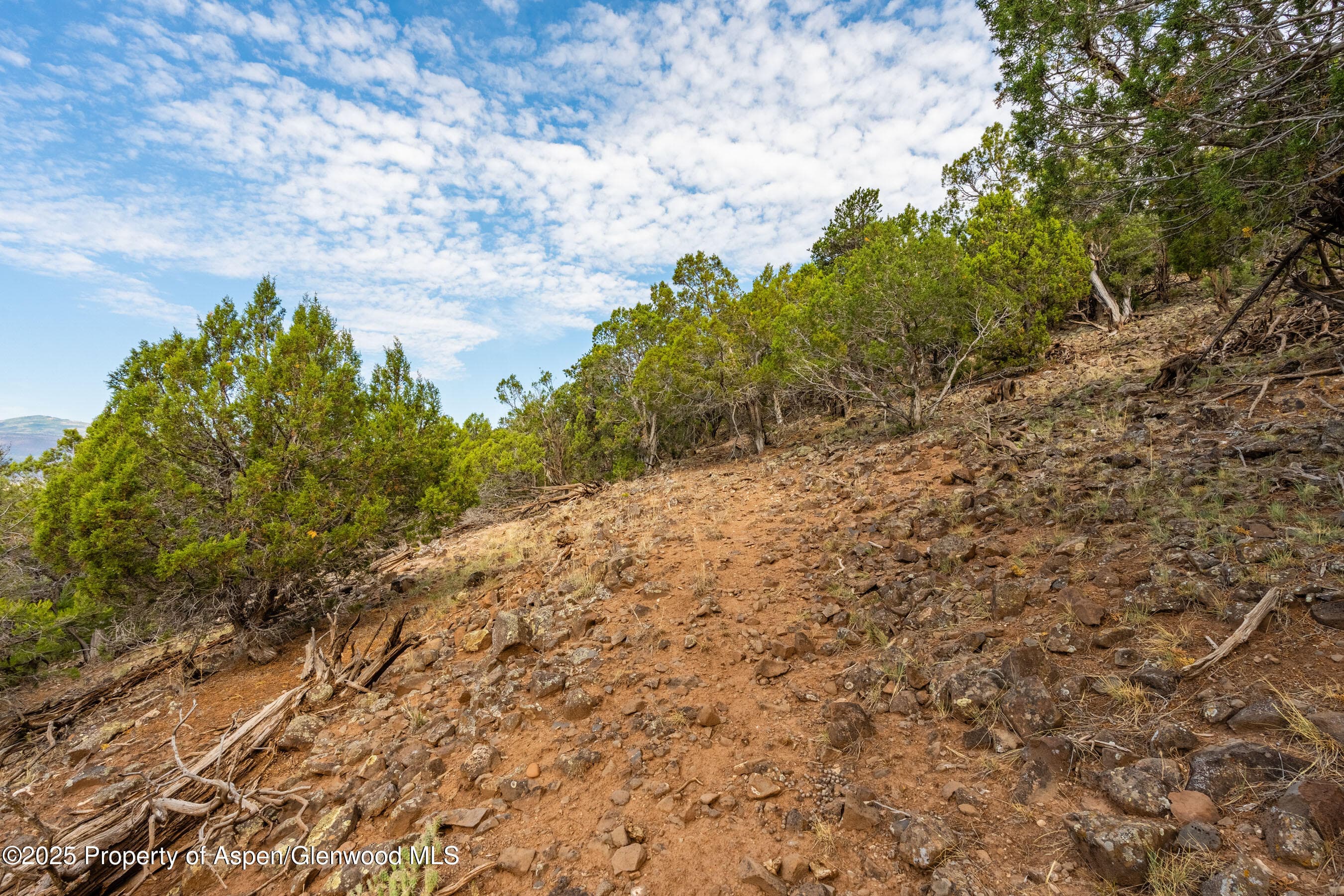 TBD Wooden Deer Road, Carbondale, CO 81623 - Photo 10