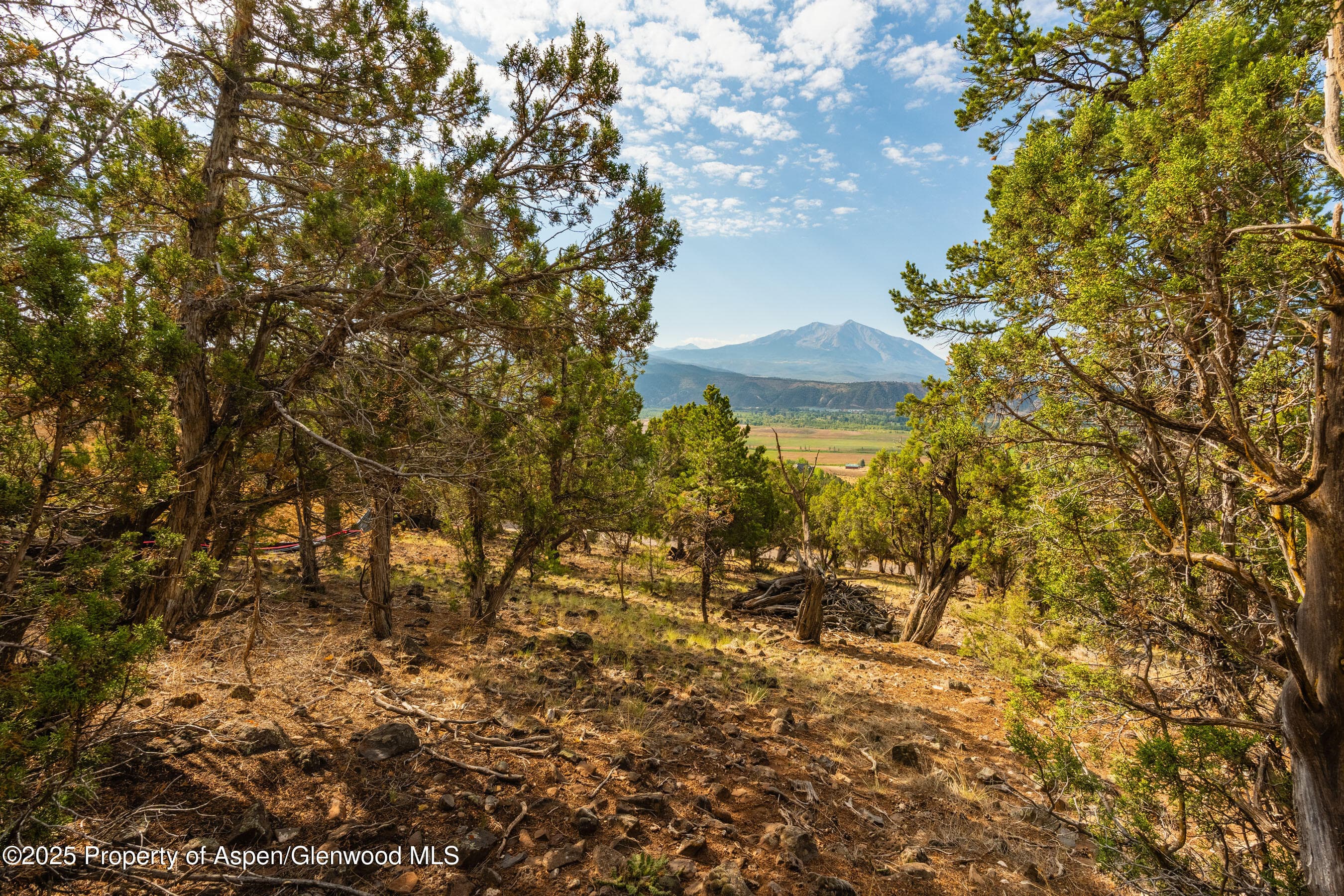 TBD Wooden Deer Road, Carbondale, CO 81623 - Photo 17