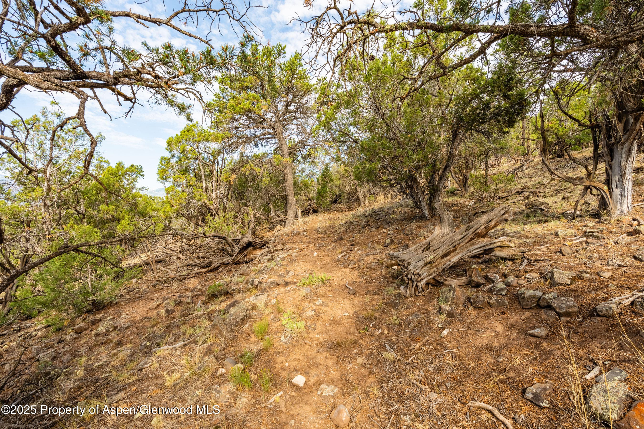 TBD Wooden Deer Road, Carbondale, CO 81623 - Photo 11