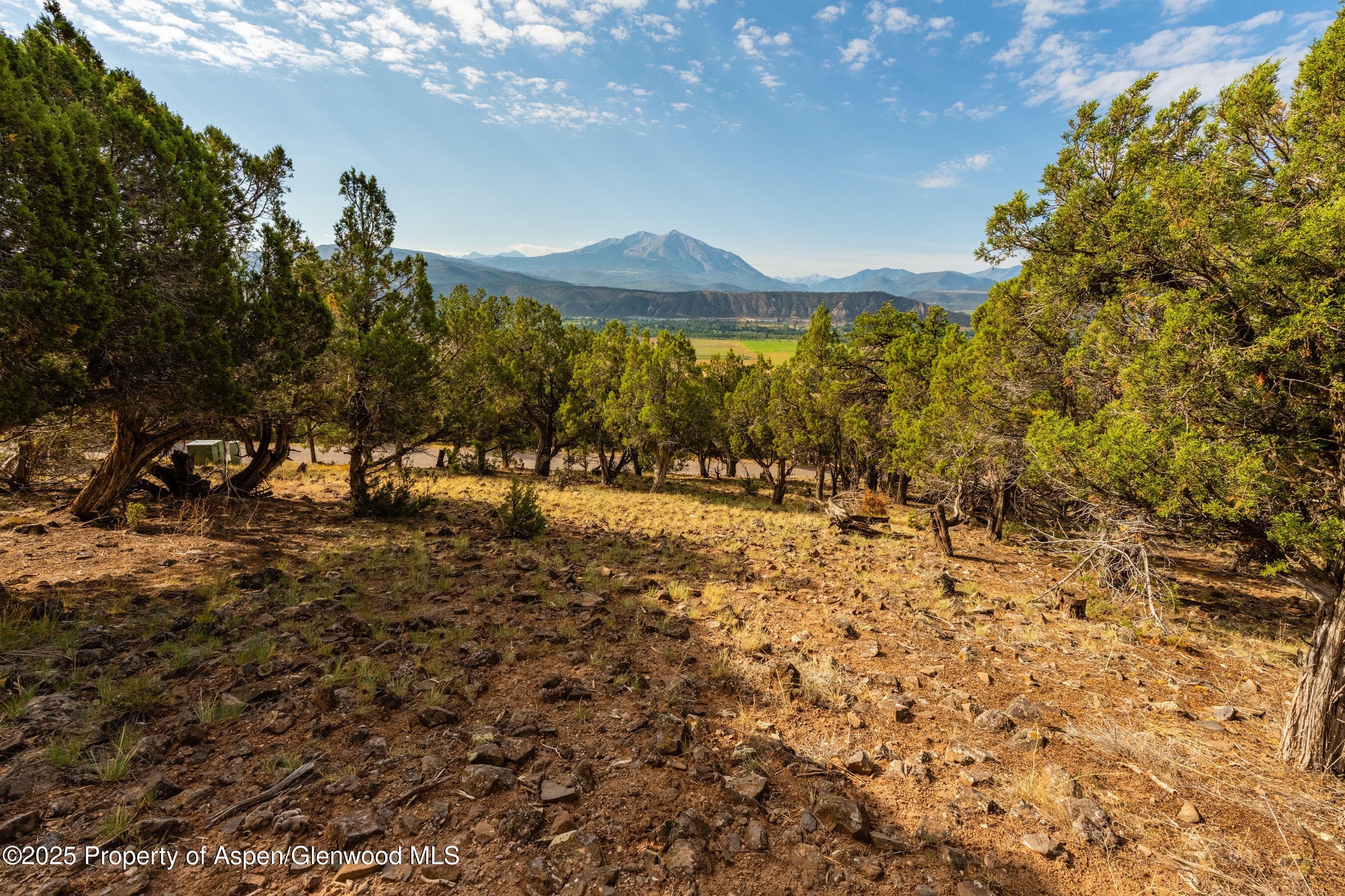 TBD Wooden Deer Road, Carbondale, CO 81623 - Photo 6