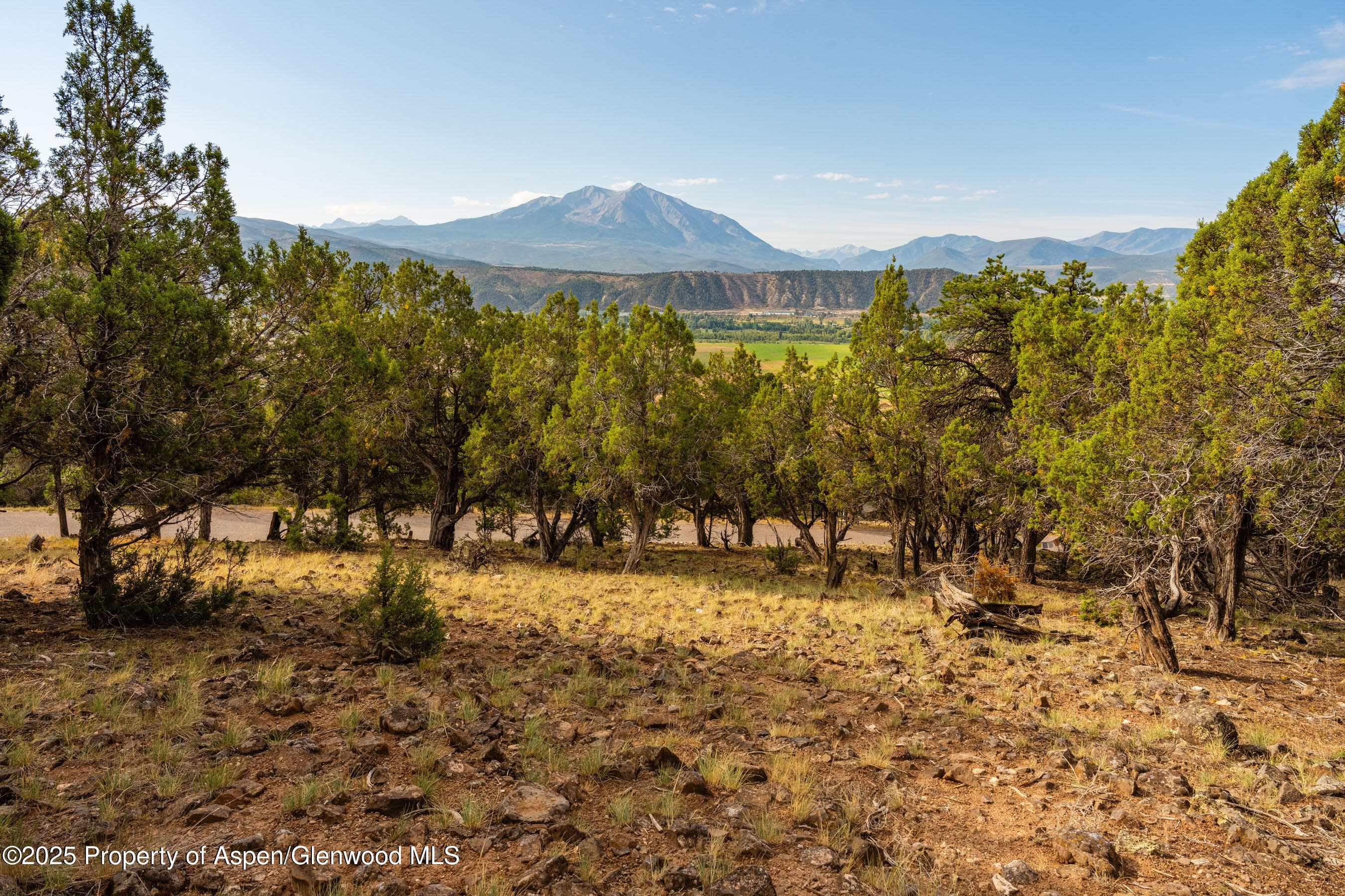 TBD Wooden Deer Road, Carbondale, CO 81623 - Photo 16