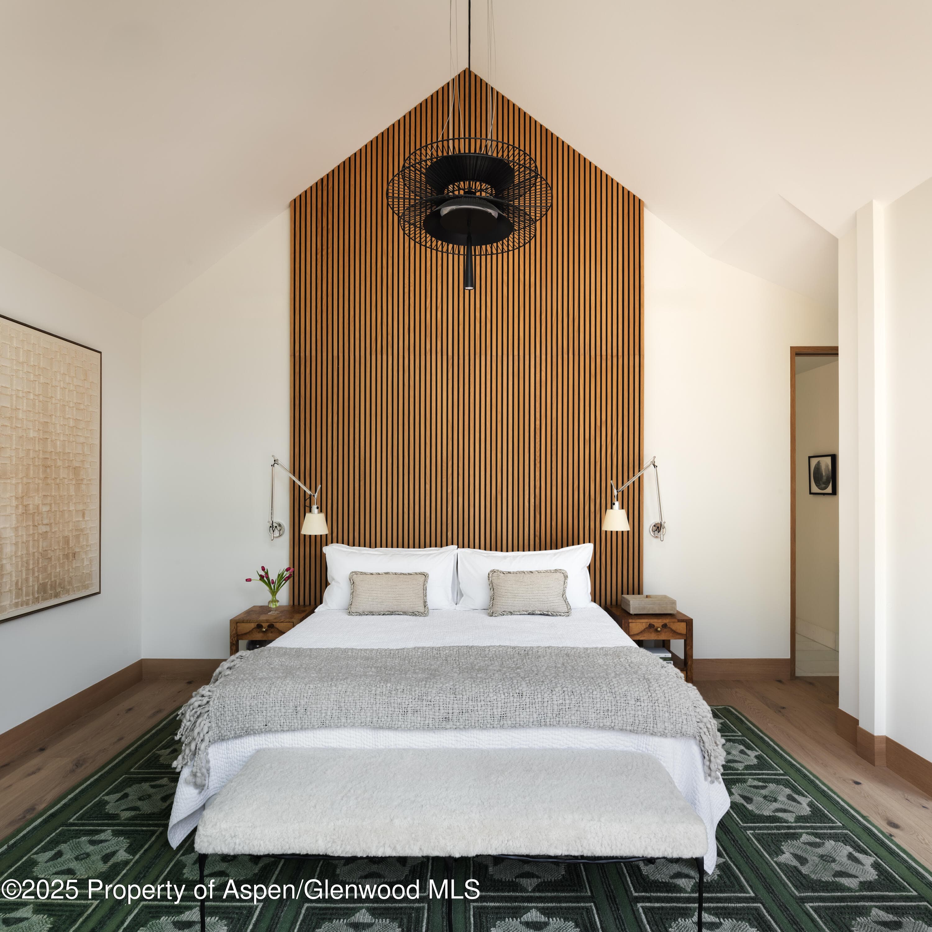 227 E Main Street, Aspen, CO 81611 - Photo 18