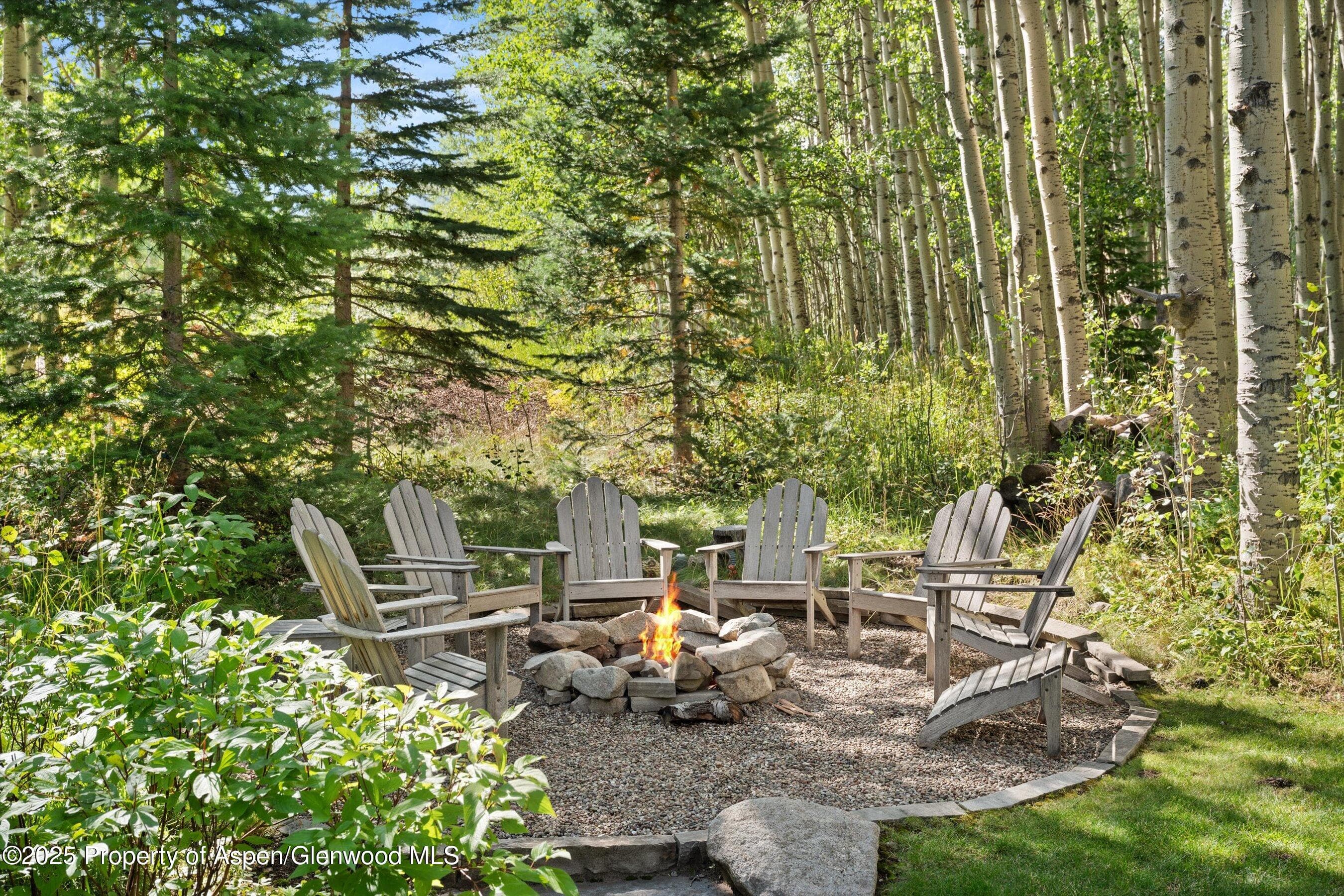 9555 Castle Creek Road, Aspen, CO 81611 - Photo 6