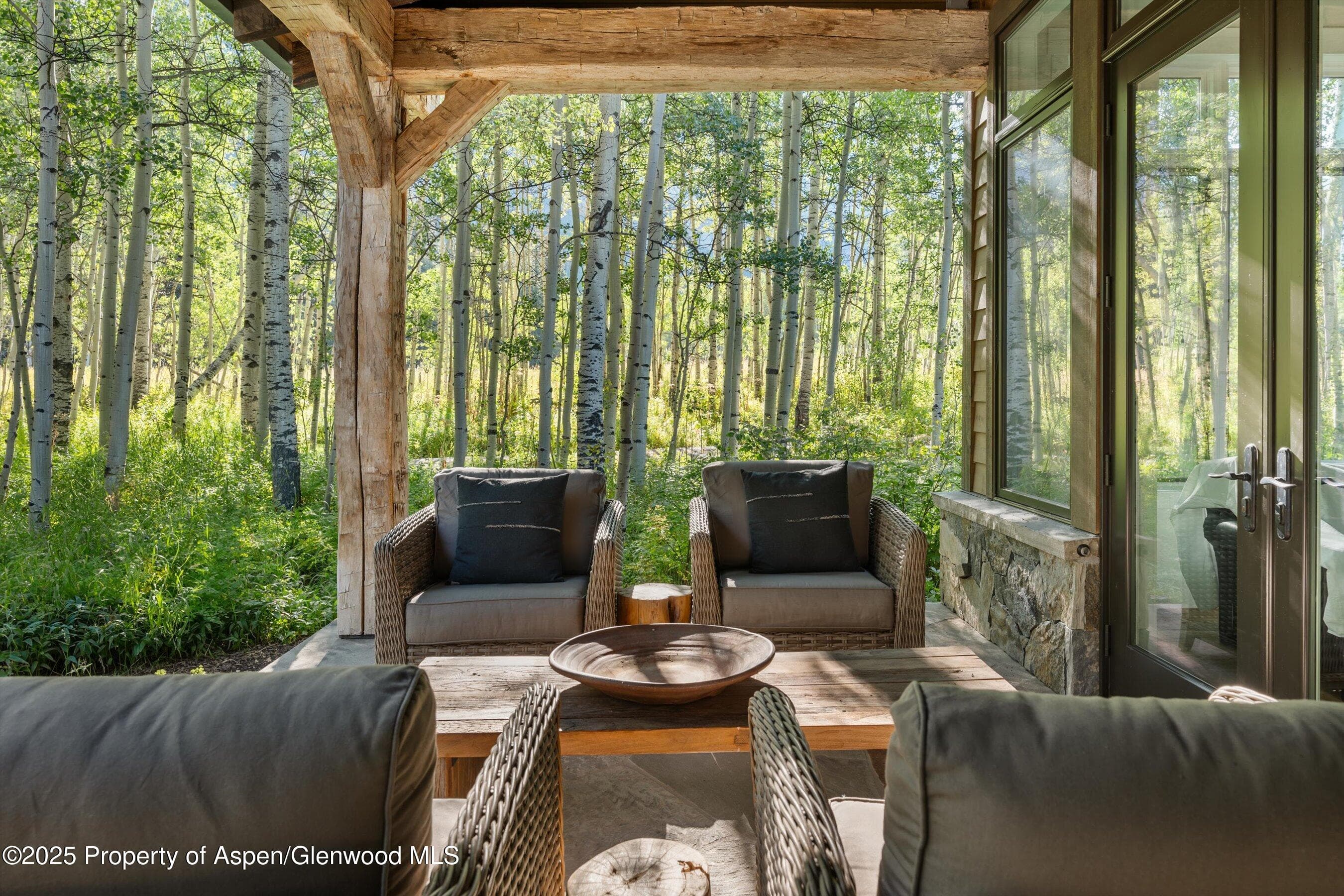 9555 Castle Creek Road, Aspen, CO 81611 - Photo 10