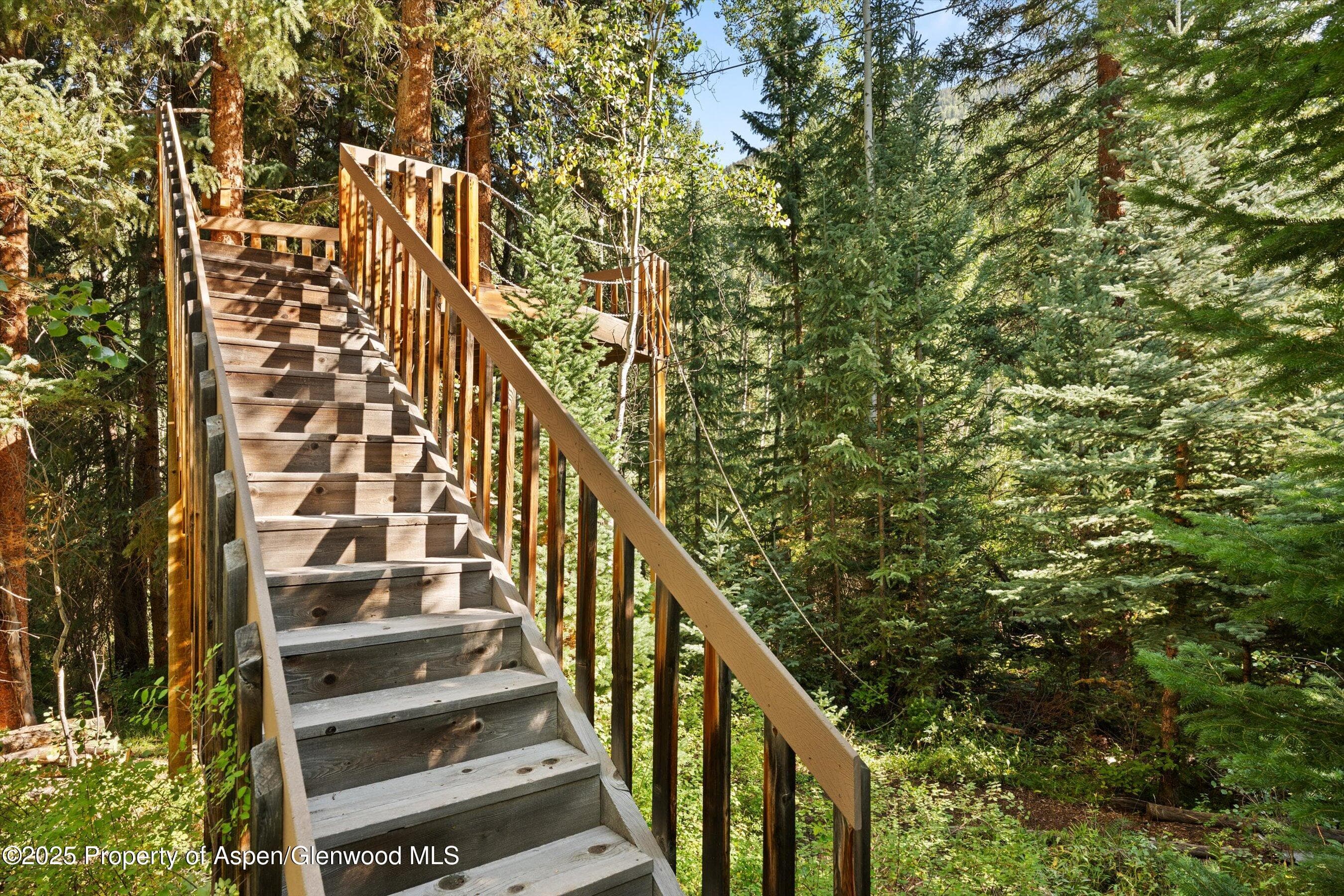 9555 Castle Creek Road, Aspen, CO 81611 - Photo 38