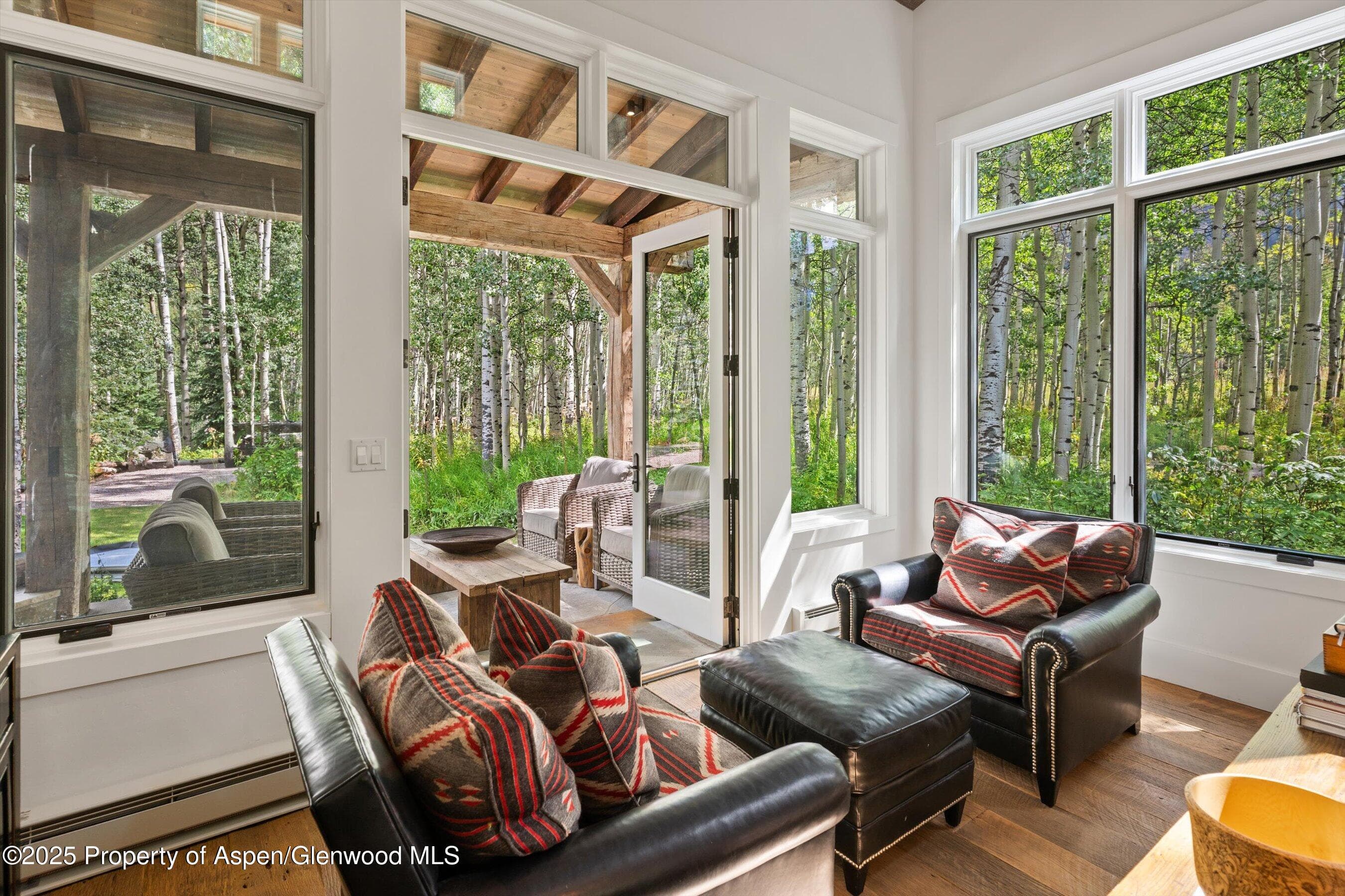 9555 Castle Creek Road, Aspen, CO 81611 - Photo 8