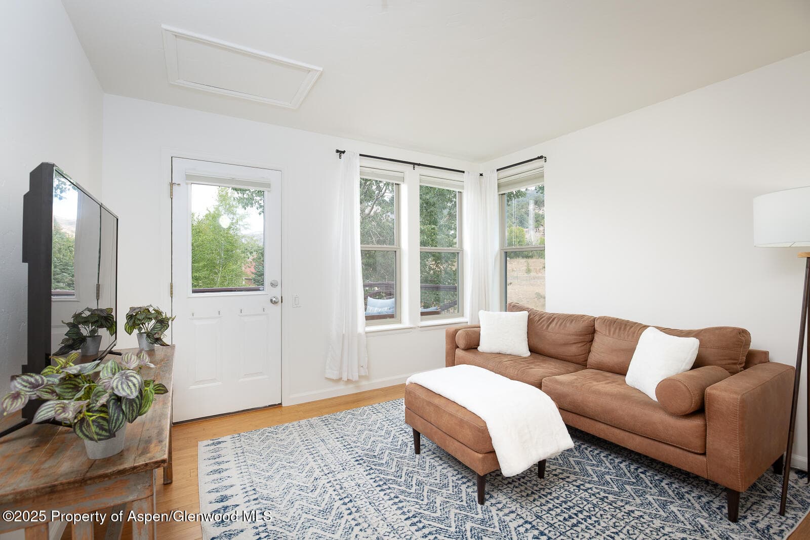 200 Lakeside Court, Basalt, CO 81621 - Photo 6
