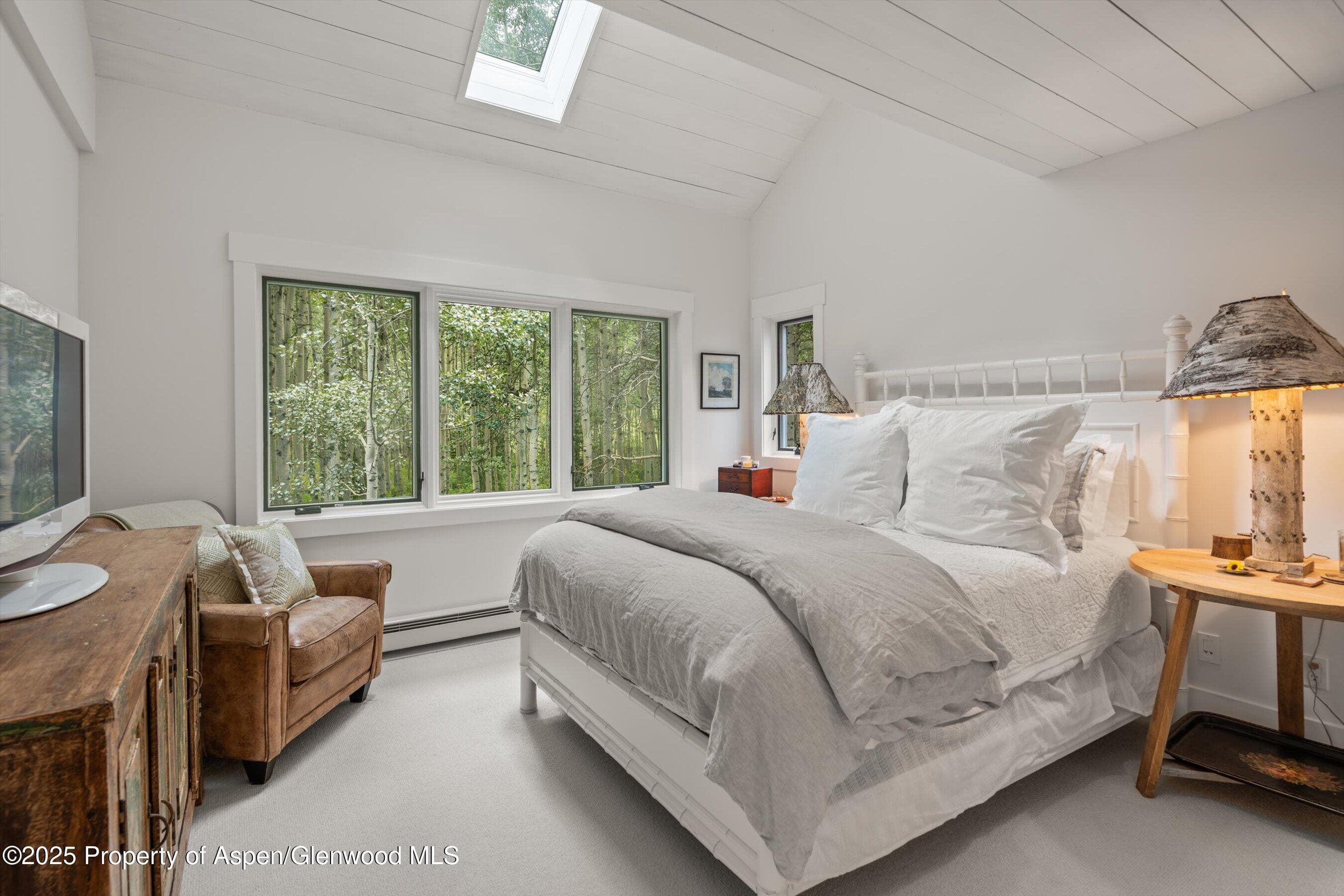 9555 Castle Creek Road, Aspen, CO 81611 - Photo 29