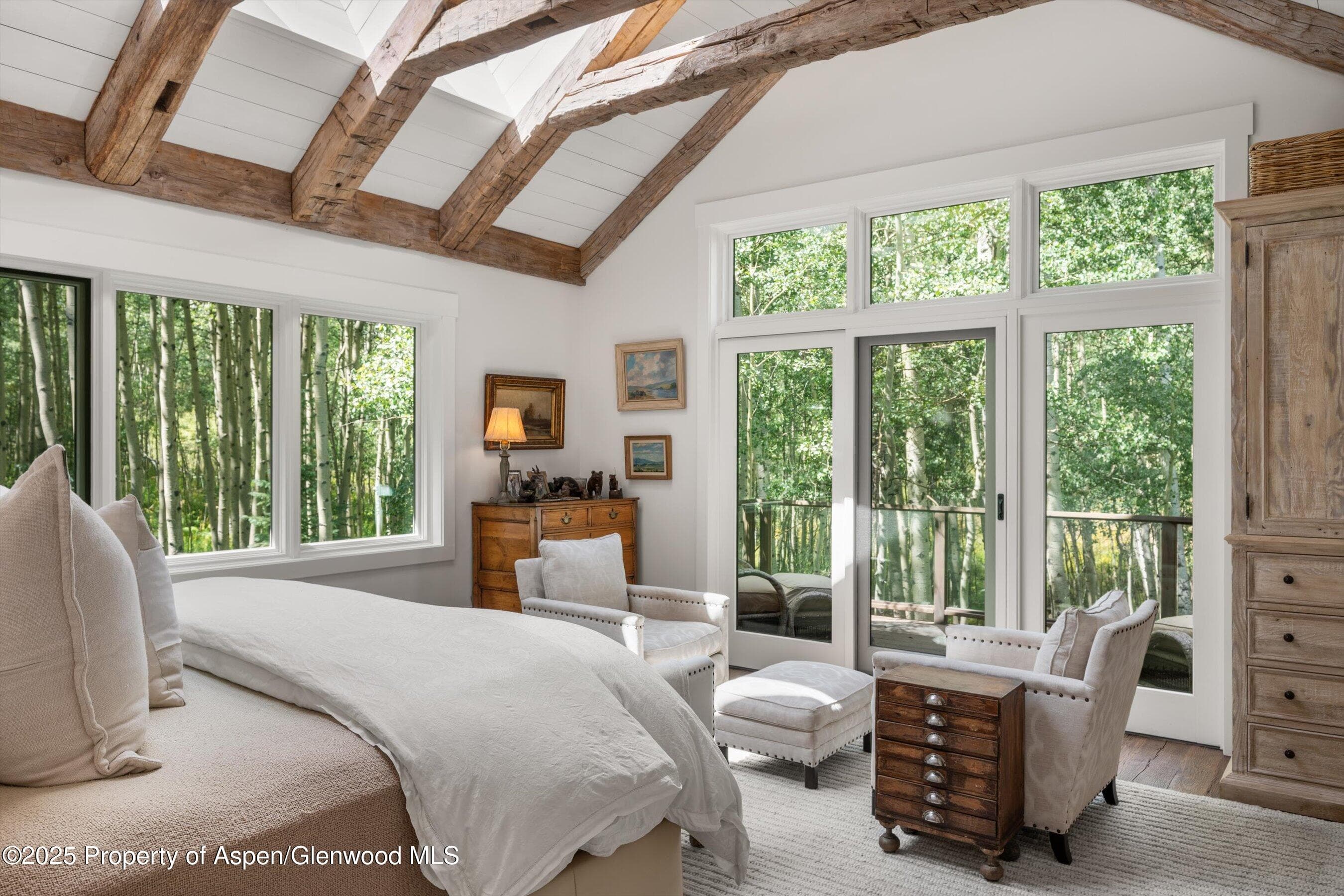 9555 Castle Creek Road, Aspen, CO 81611 - Photo 15