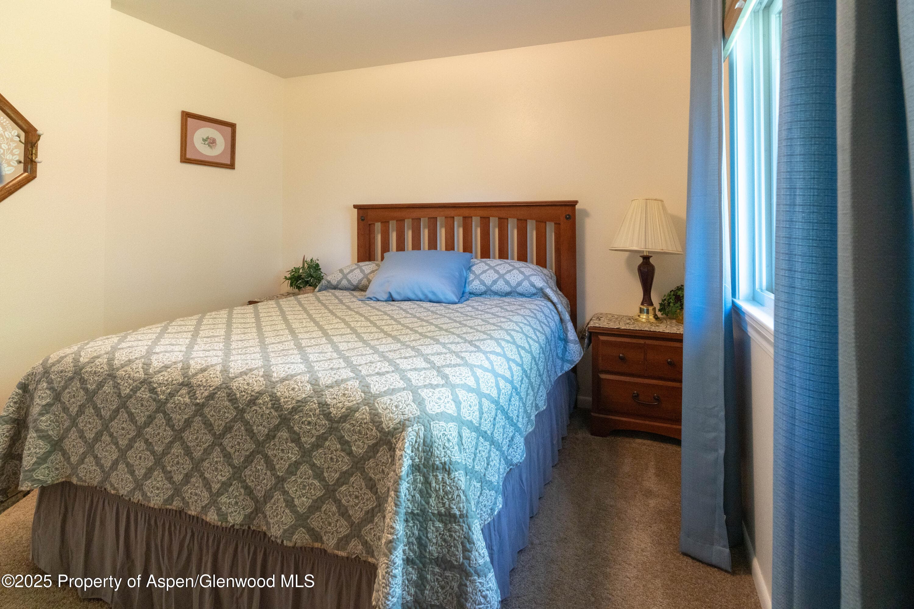 388 Mel Rey Road, Glenwood Springs, CO 81601 - Photo 19