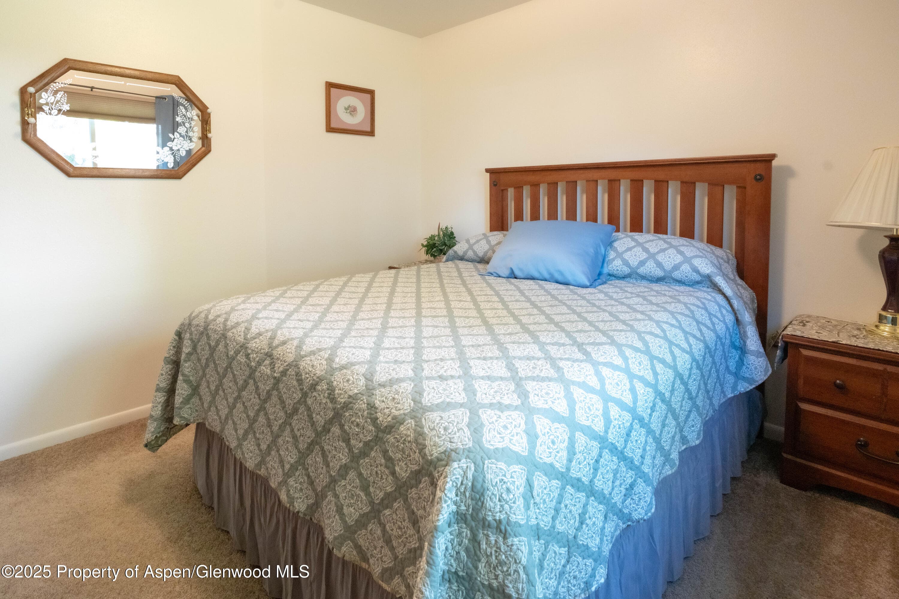 388 Mel Rey Road, Glenwood Springs, CO 81601 - Photo 21