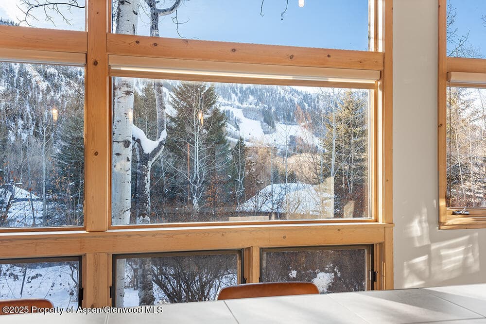 1215 Riverside Drive, Aspen, CO 81611 - Photo 20