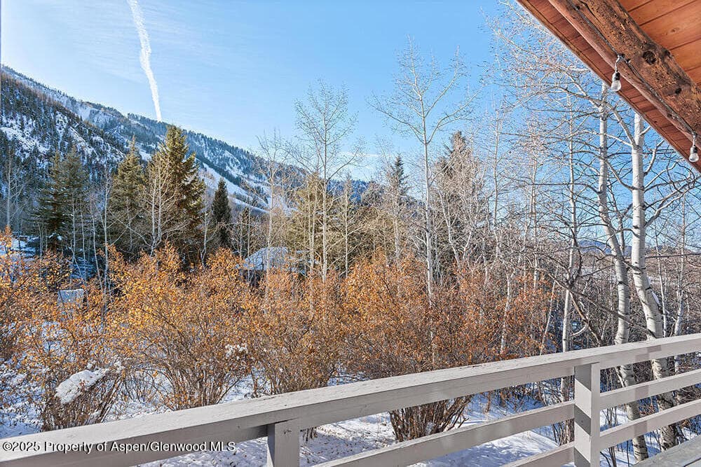 1215 Riverside Drive, Aspen, CO 81611 - Photo 19