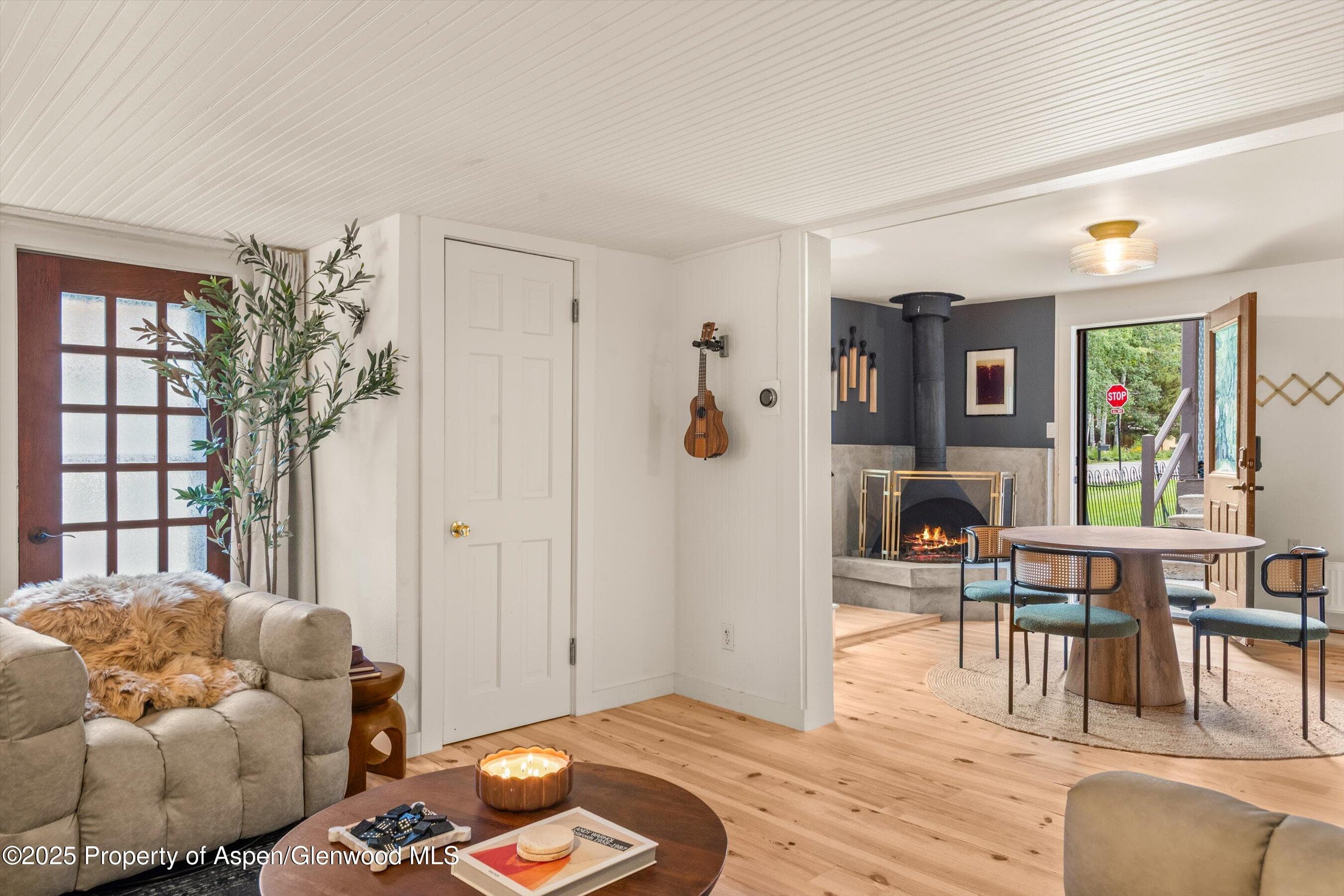 500 W Francis Street Carriage House, Aspen, CO 81611 - Photo 9