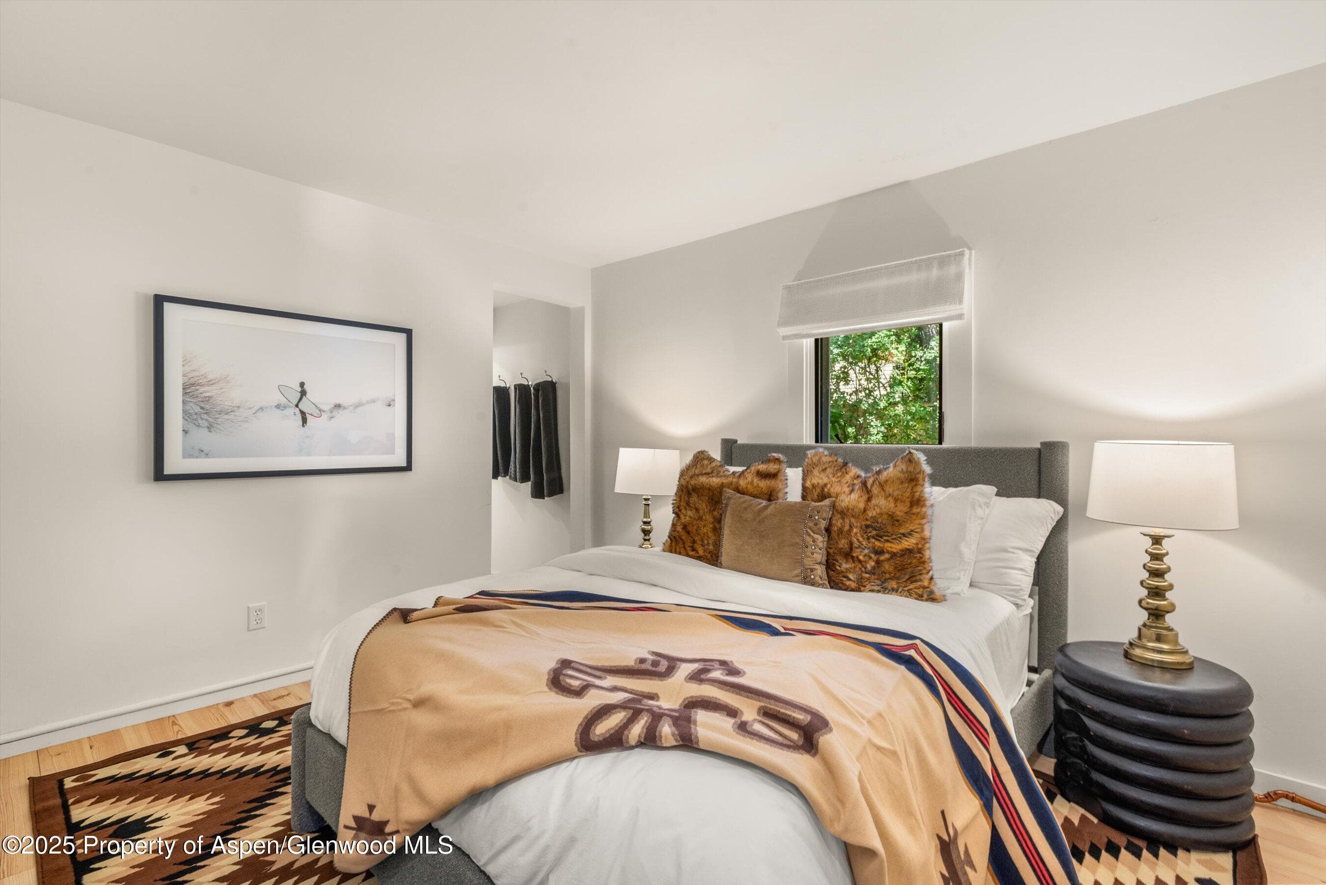 500 W Francis Street Carriage House, Aspen, CO 81611 - Photo 16