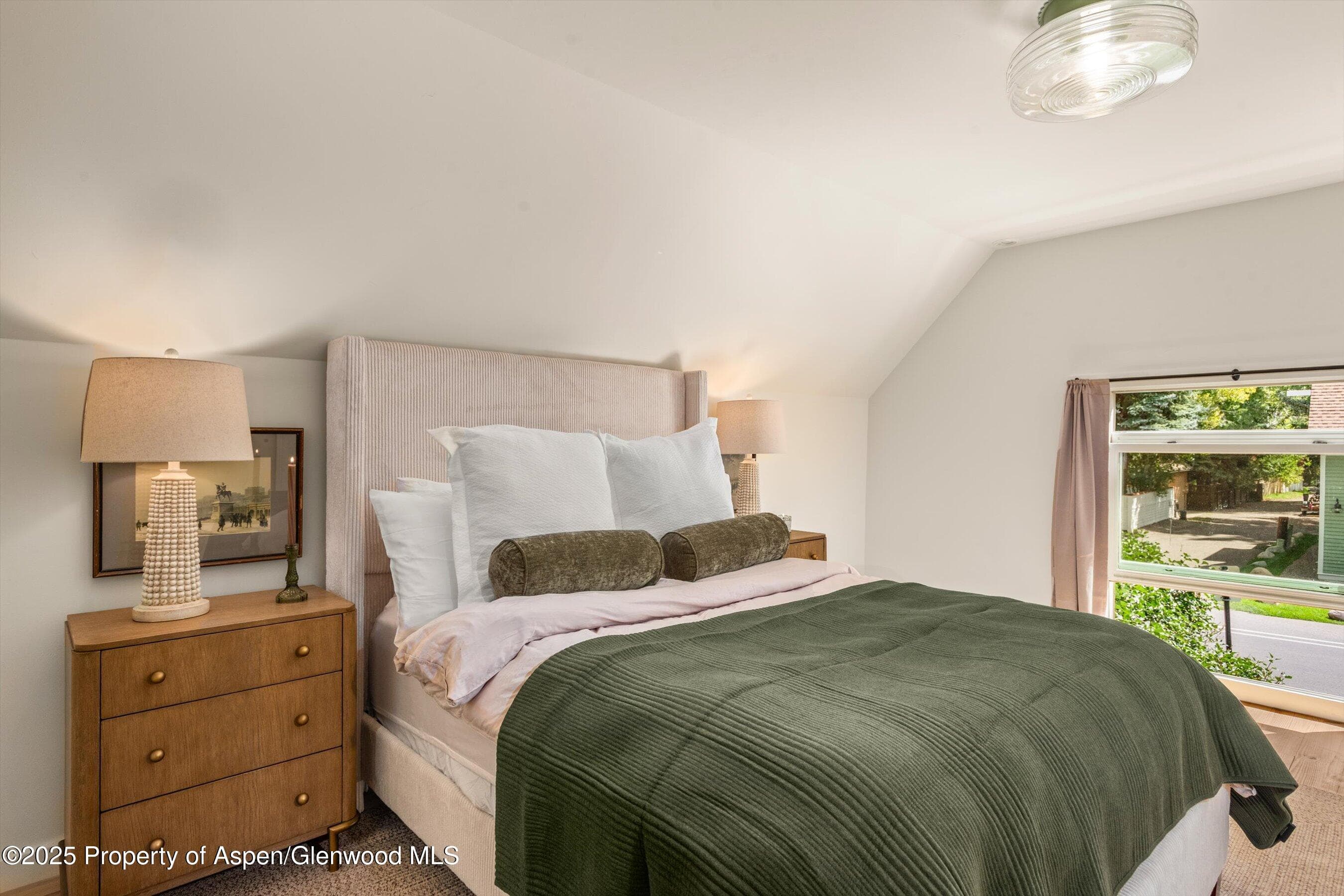500 W Francis Street Carriage House, Aspen, CO 81611 - Photo 19