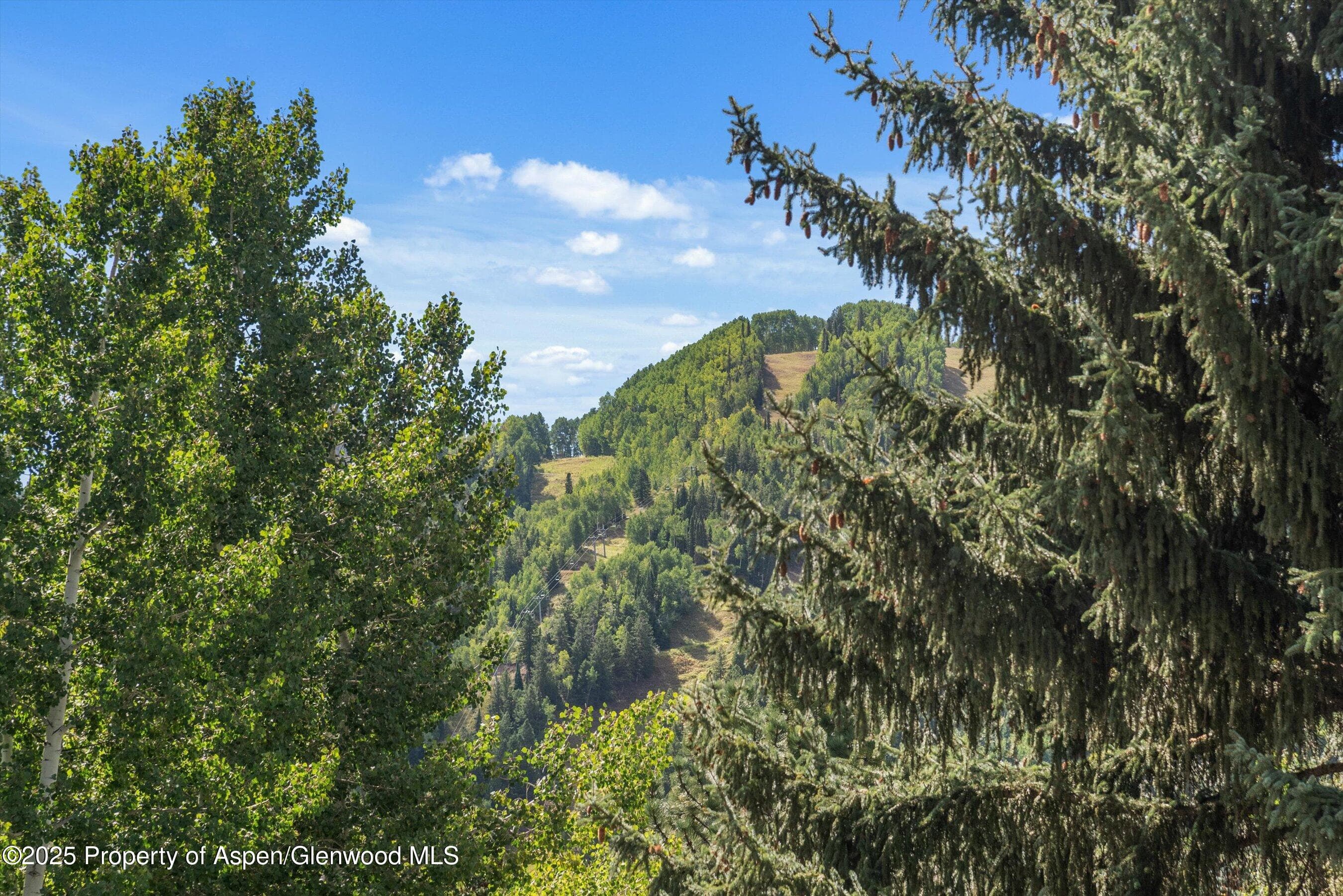 500 W Francis Street, Aspen, CO 81611 - Photo 8