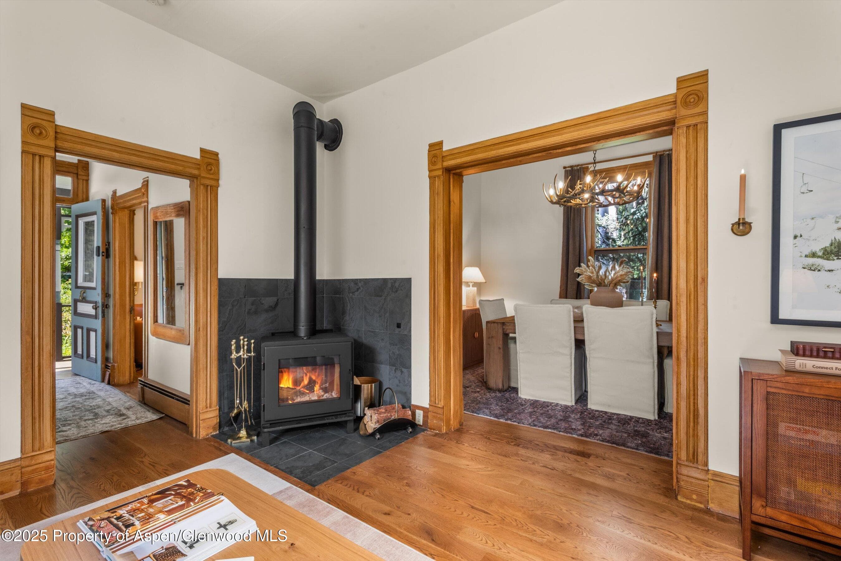 500 W Francis Street, Aspen, CO 81611 - Photo 22
