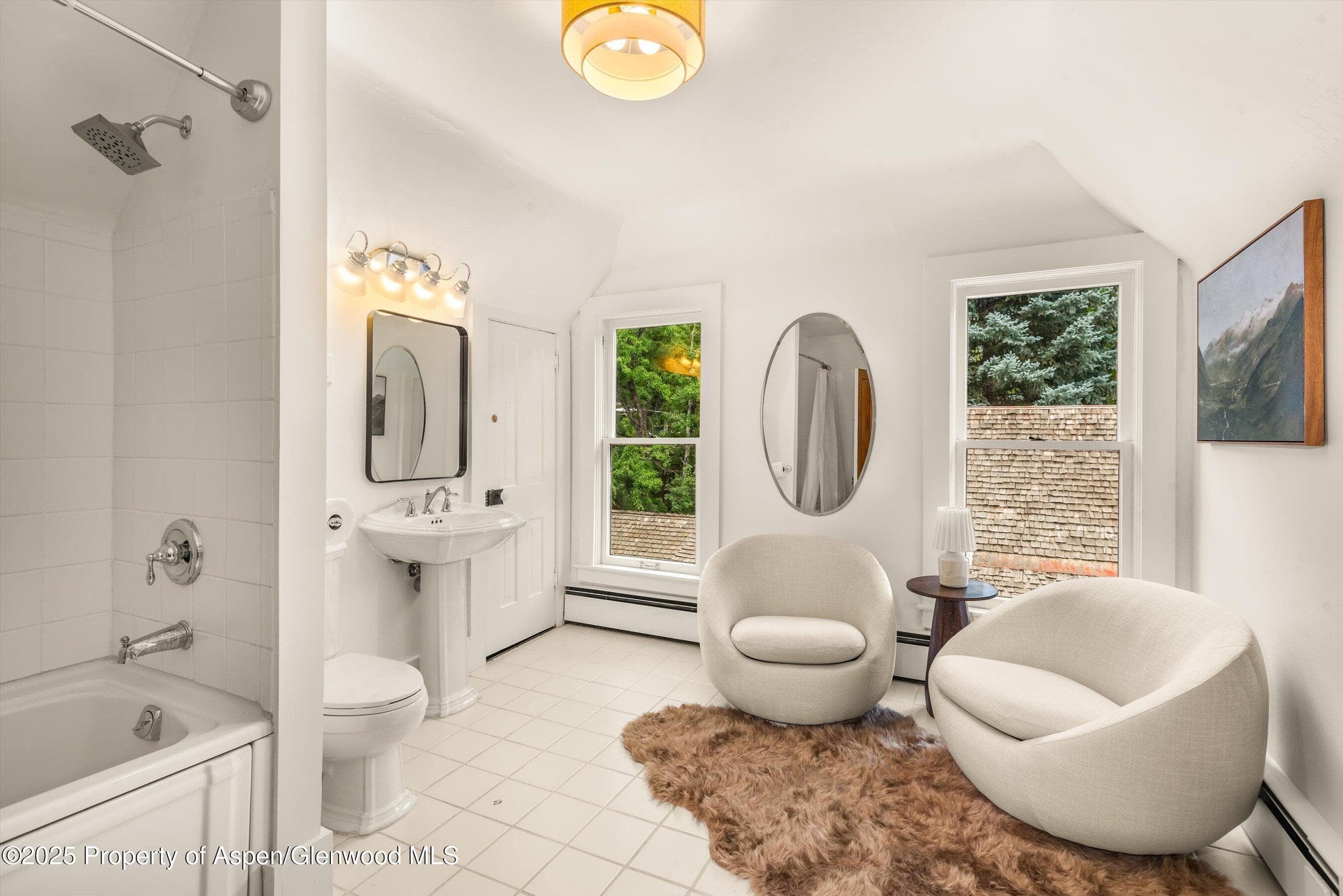 500 W Francis Street, Aspen, CO 81611 - Photo 38