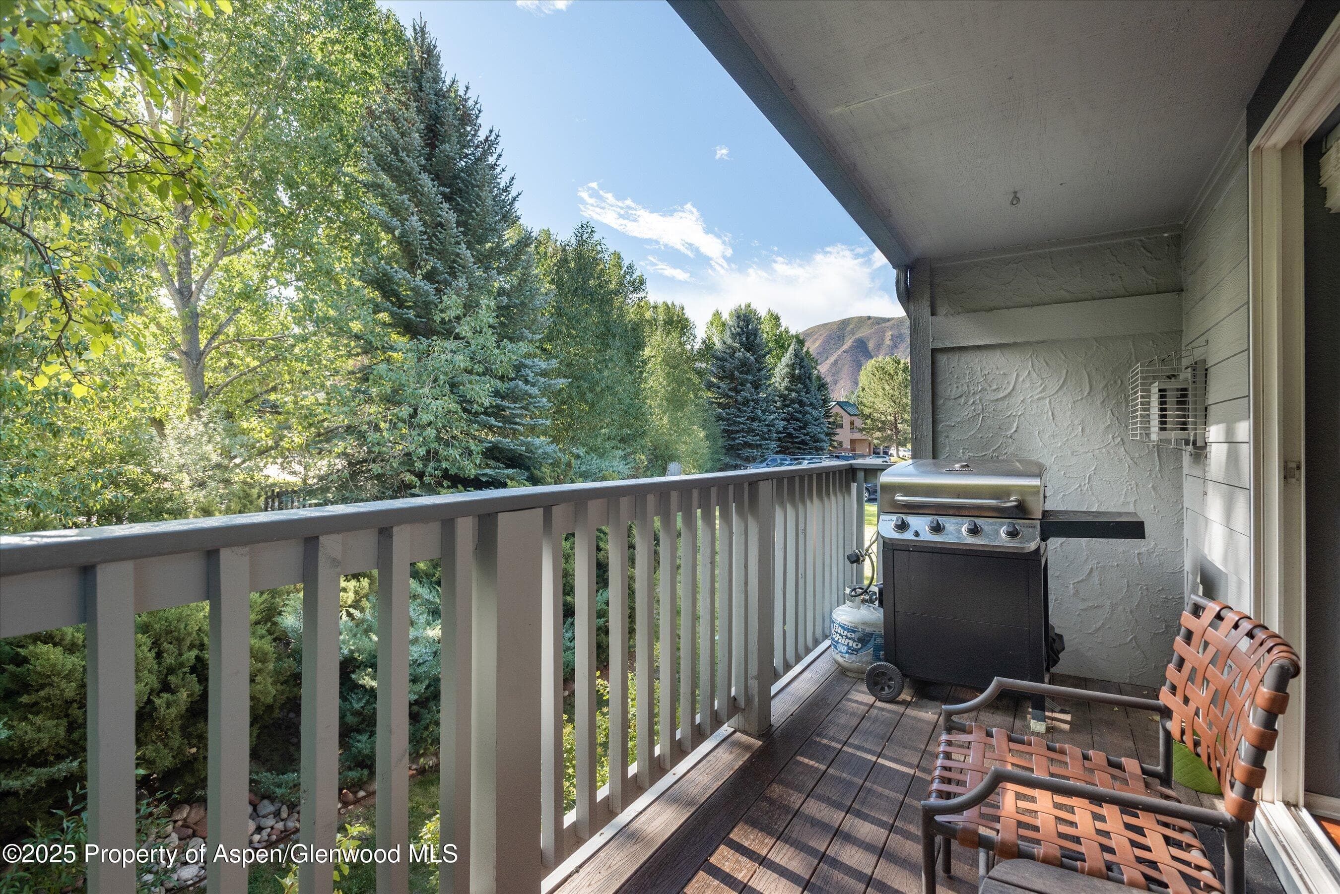 7203 ELK Lane, Basalt, CO 81621 - Photo 12