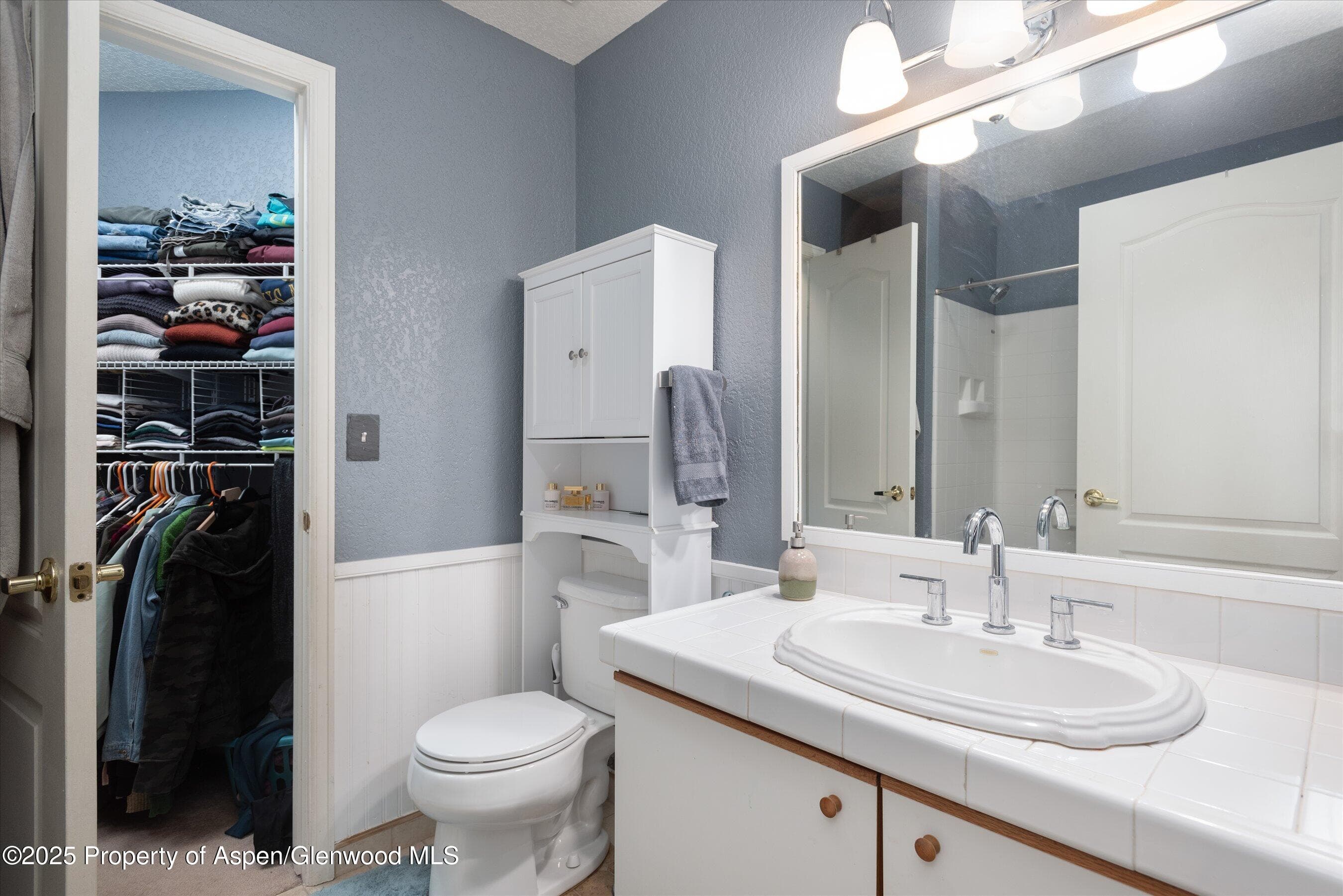 7203 ELK Lane, Basalt, CO 81621 - Photo 7