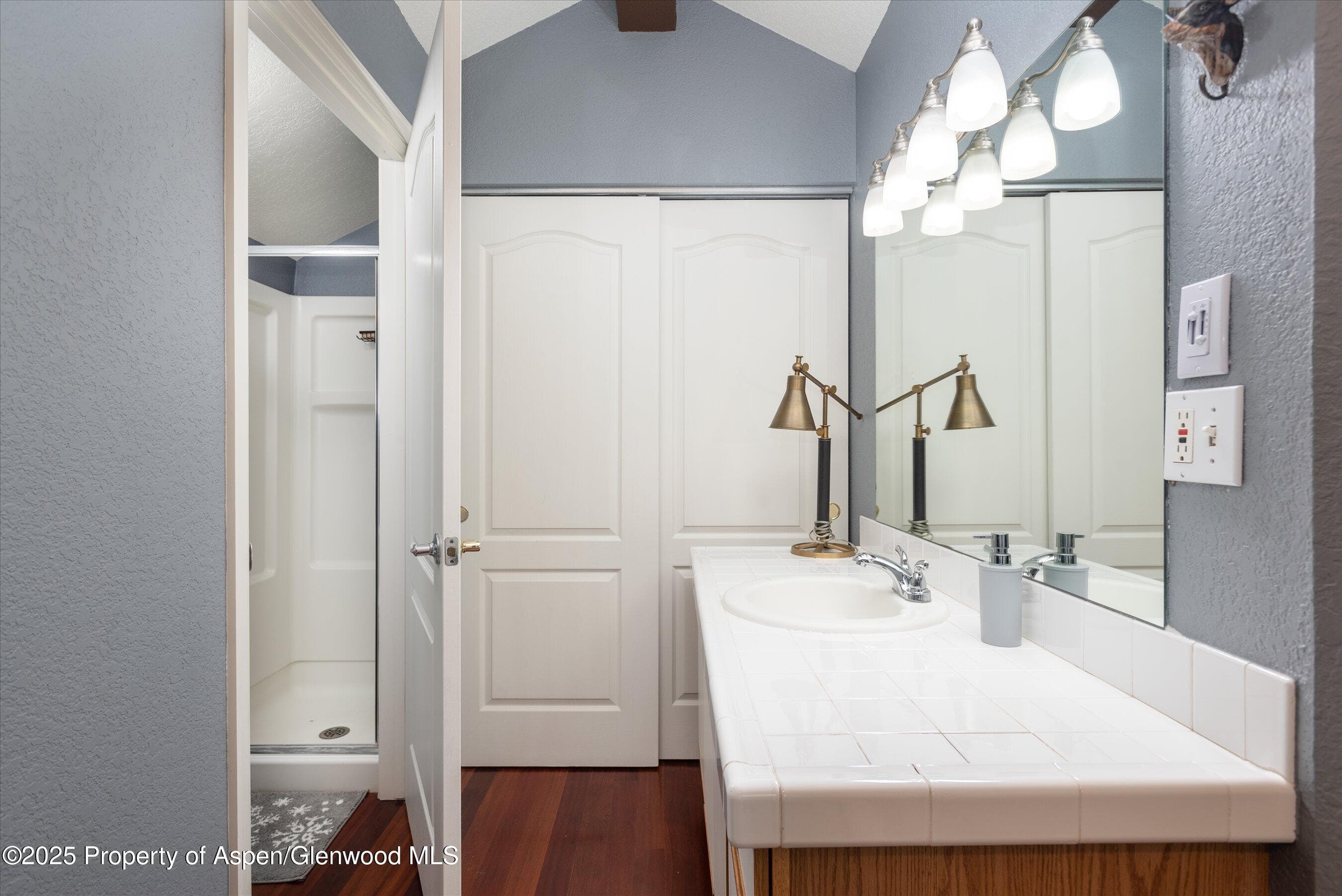 7203 ELK Lane, Basalt, CO 81621 - Photo 9
