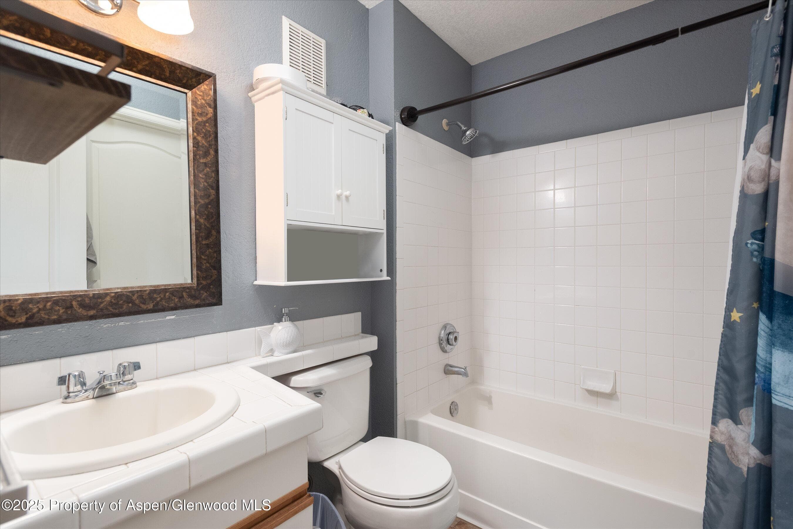 7203 ELK Lane, Basalt, CO 81621 - Photo 11