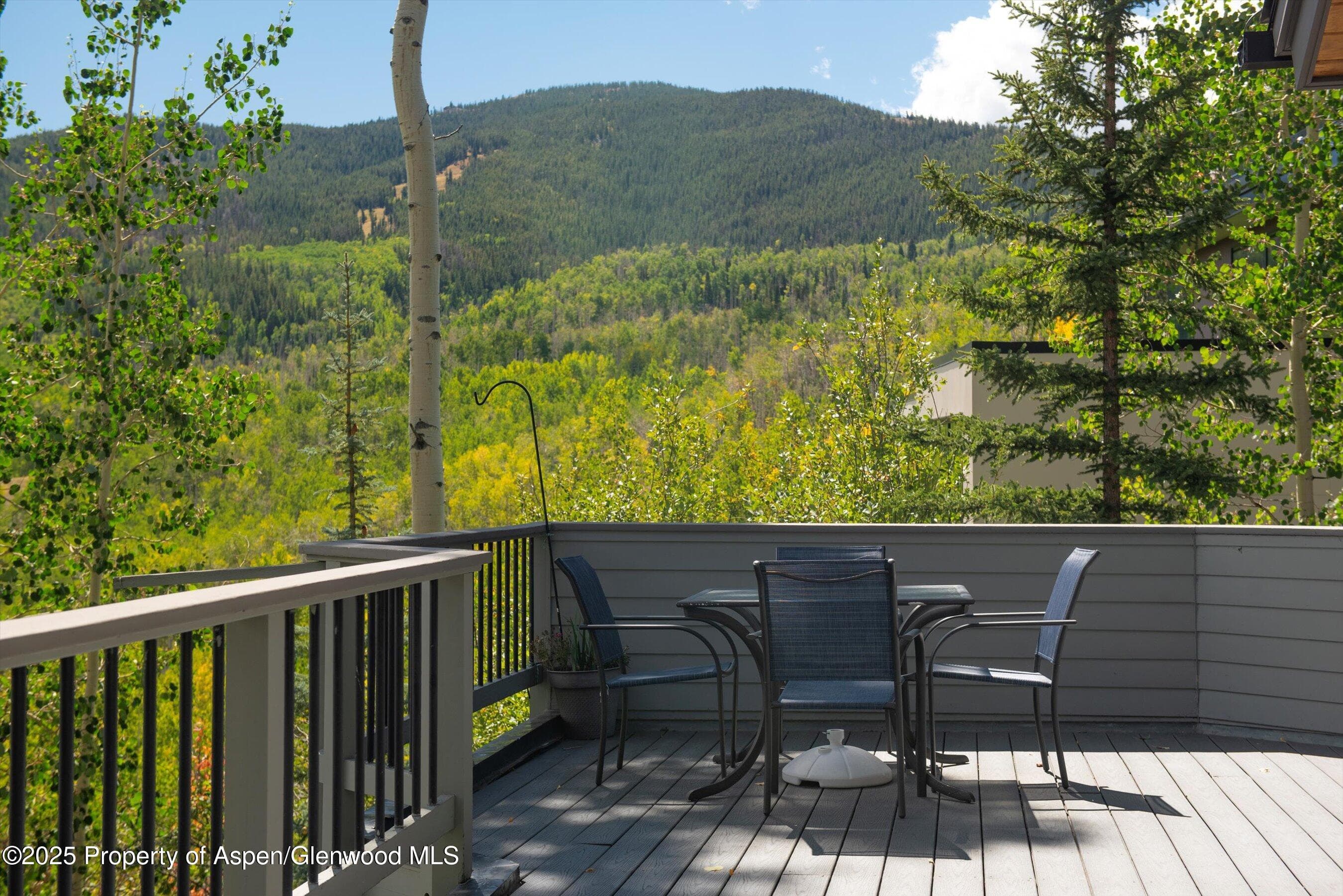 64 Ermine Lane, Snowmass Village, CO 81615 - Photo 30
