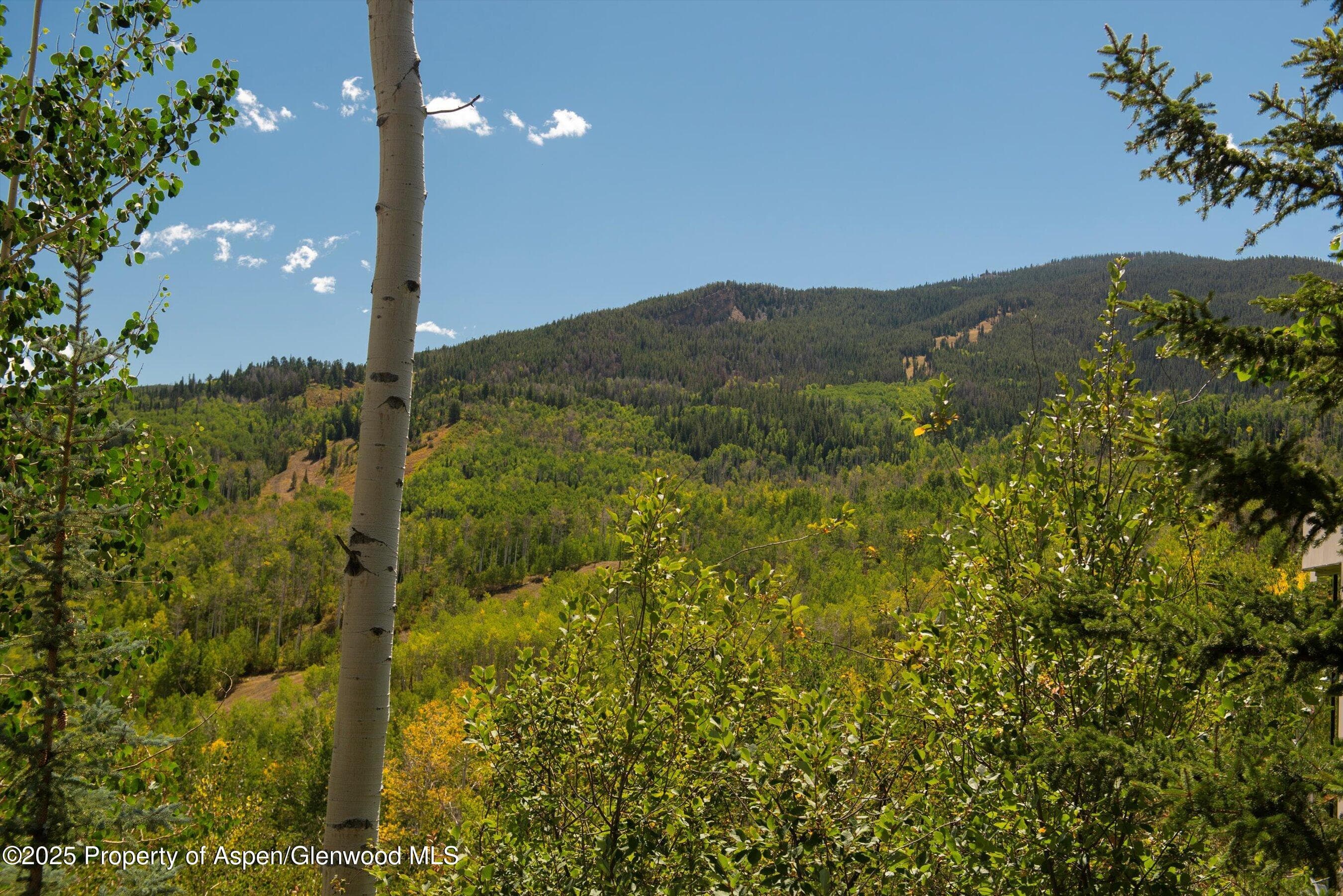 64 Ermine Lane, Snowmass Village, CO 81615 - Photo 31