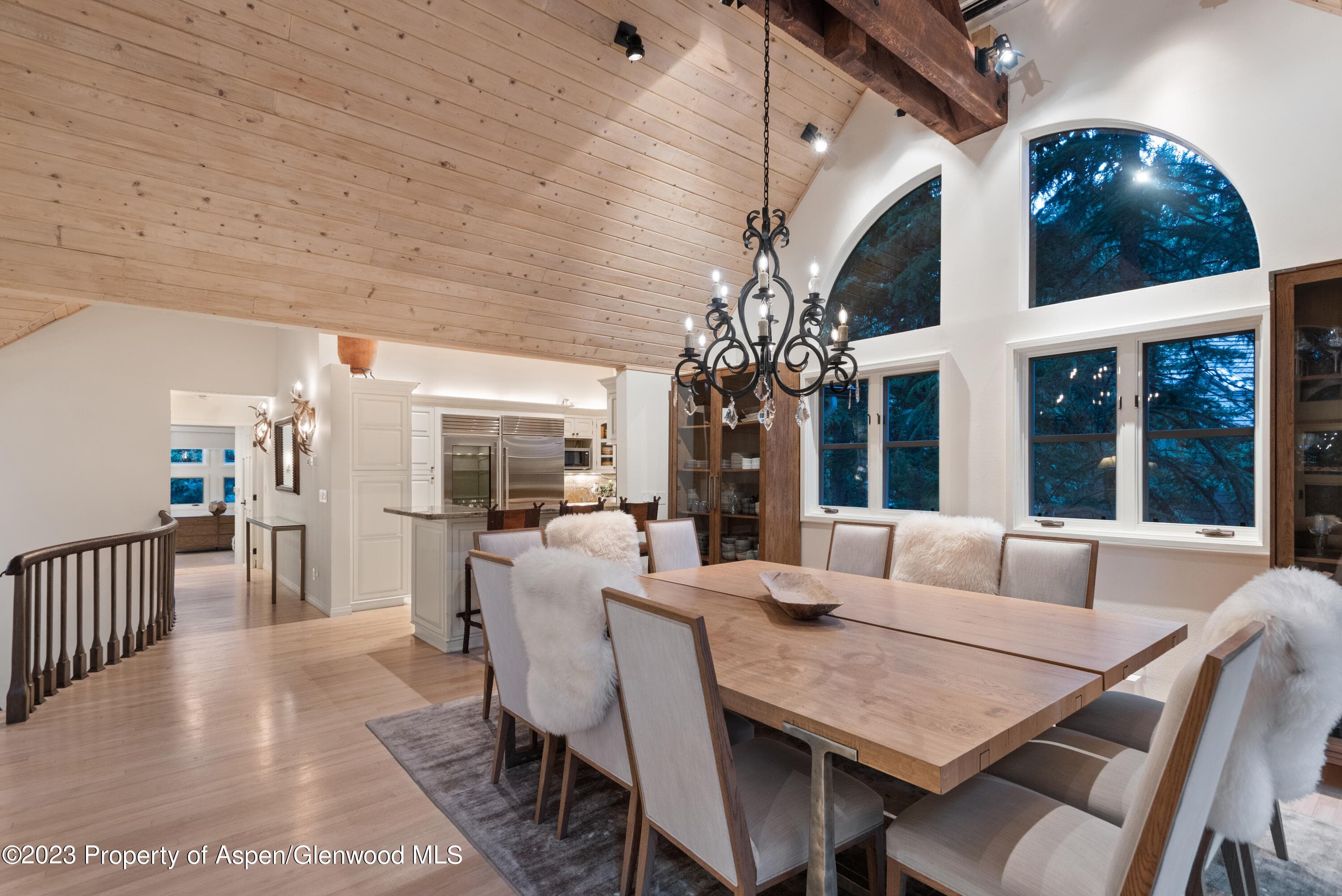 901 Ute Avenue, Aspen, CO 81611 - Photo 9