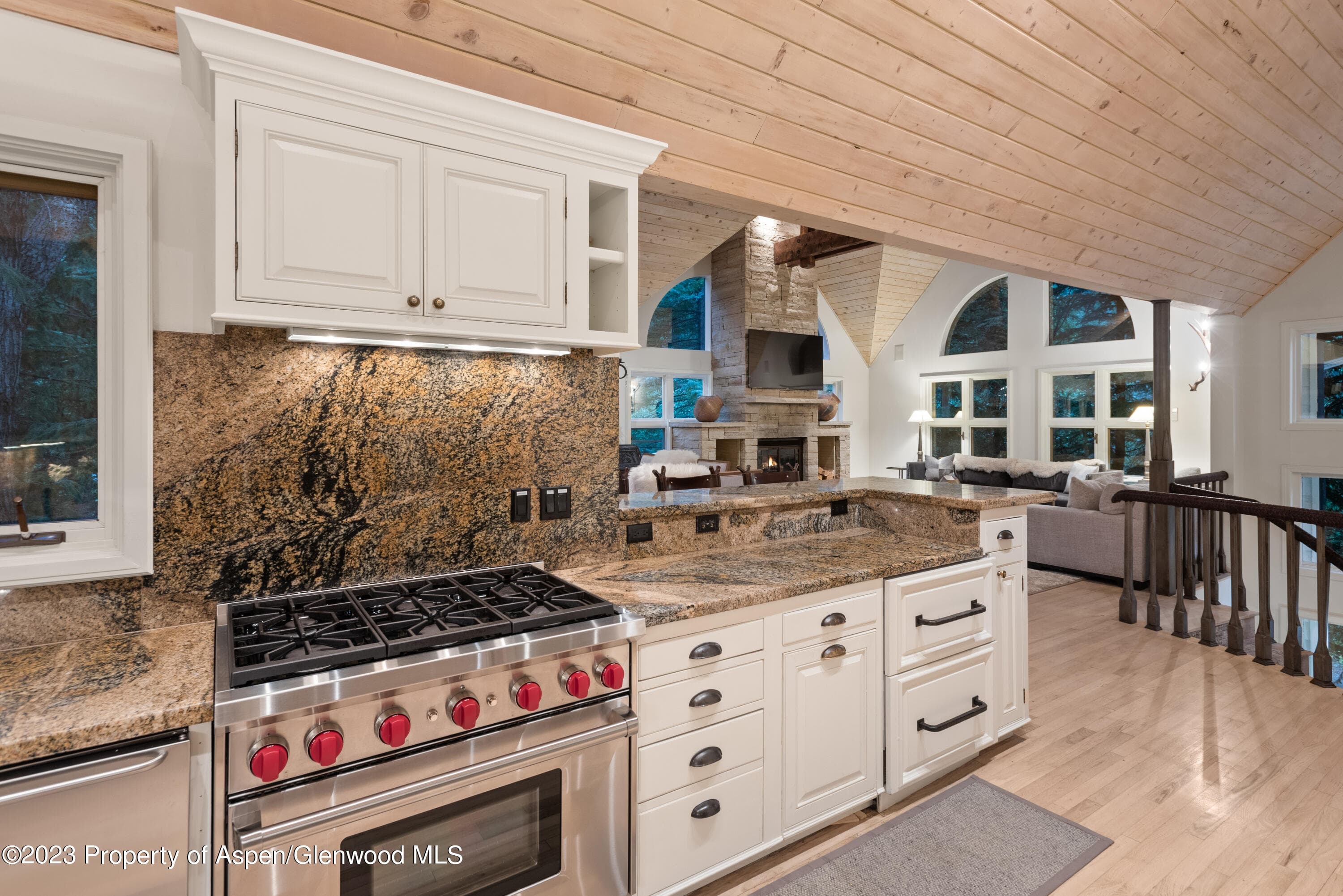 901 Ute Avenue, Aspen, CO 81611 - Photo 12