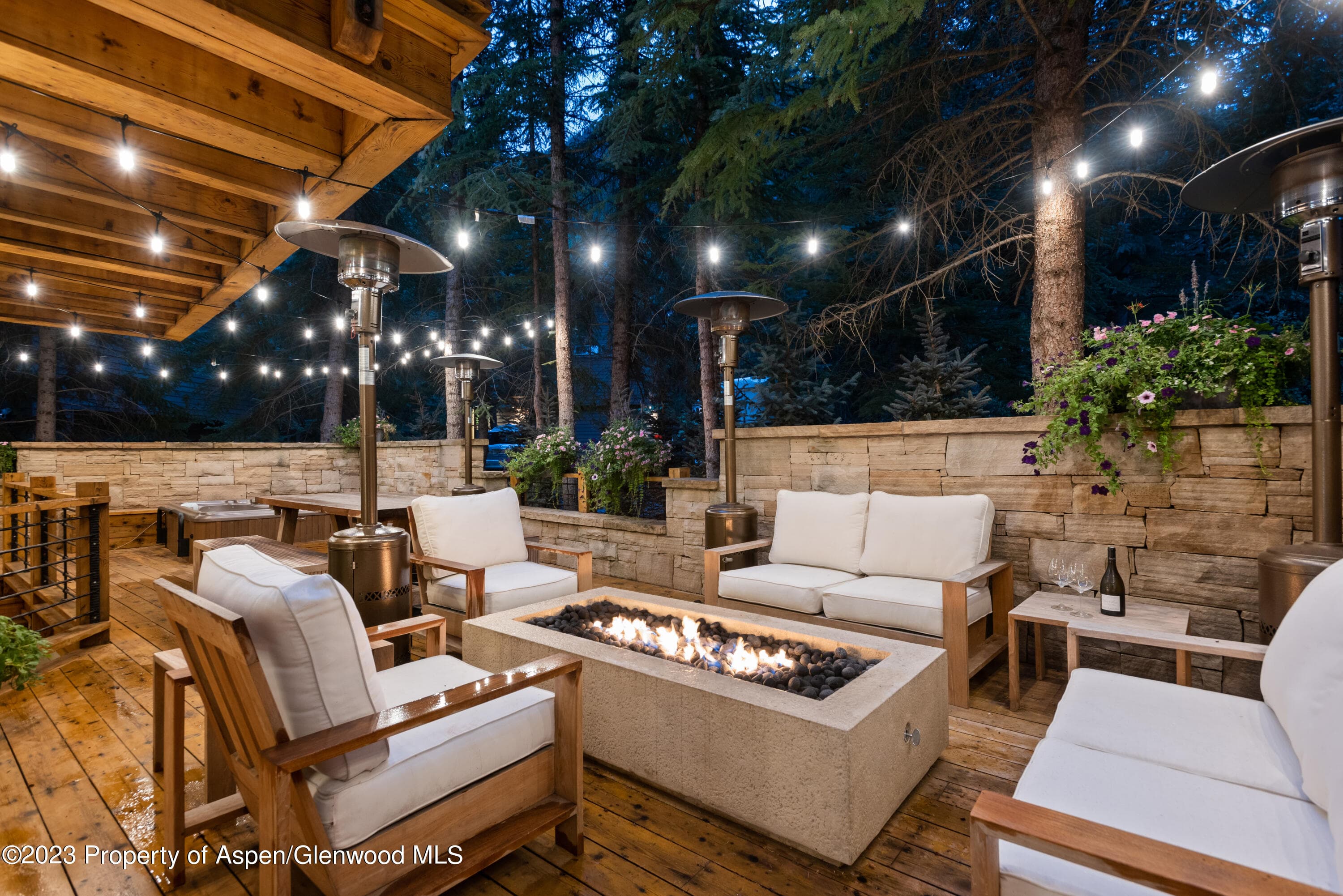 901 Ute Avenue, Aspen, CO 81611 - Photo 19