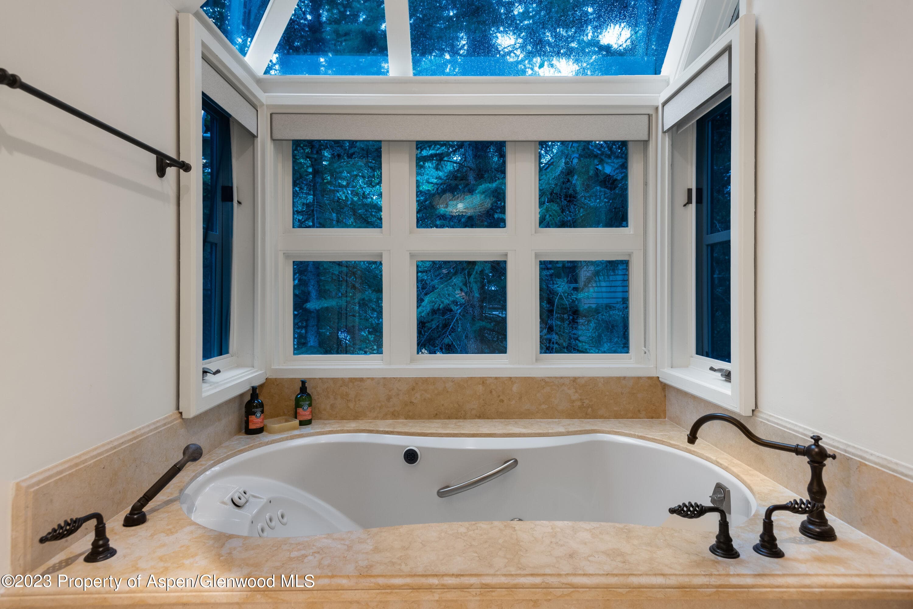 901 Ute Avenue, Aspen, CO 81611 - Photo 27