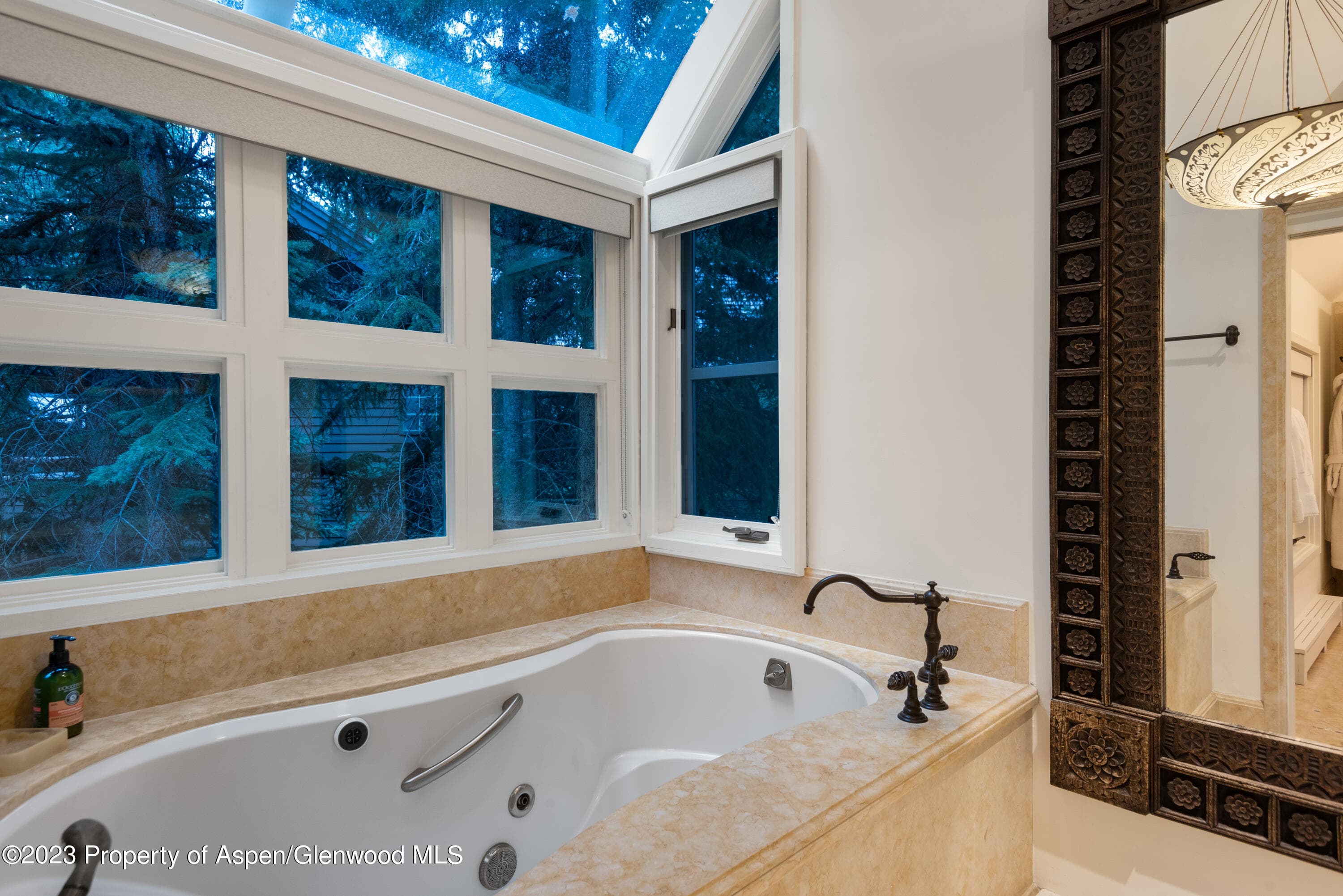 901 Ute Avenue, Aspen, CO 81611 - Photo 28