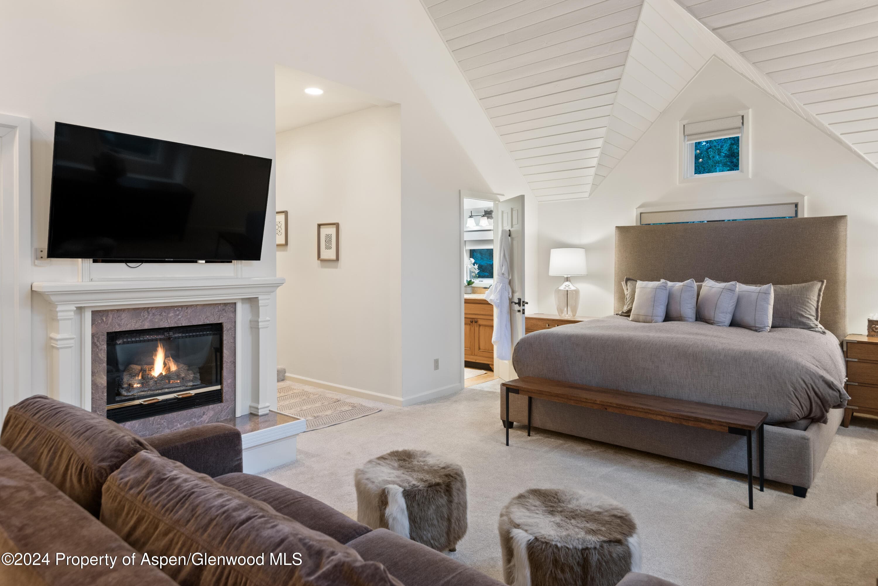901 Ute Avenue, Aspen, CO 81611 - Photo 15