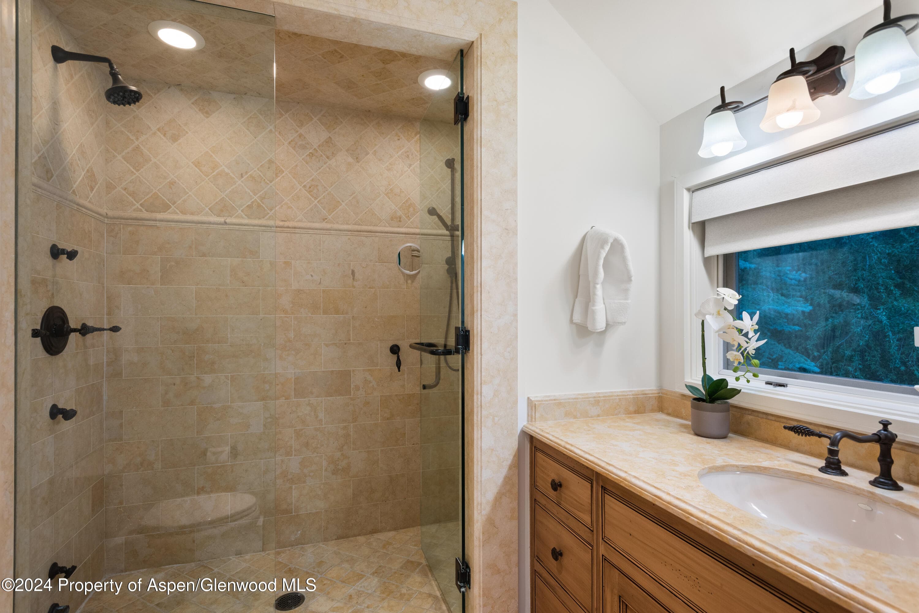 901 Ute Avenue, Aspen, CO 81611 - Photo 19