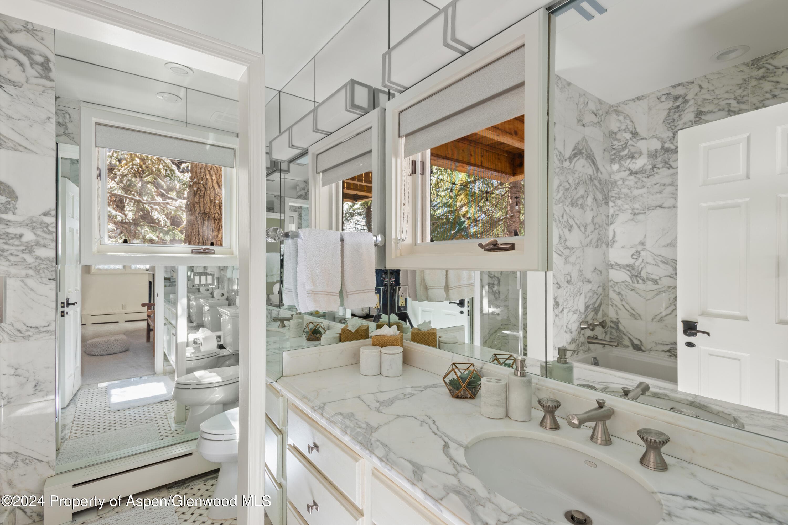 901 Ute Avenue, Aspen, CO 81611 - Photo 24
