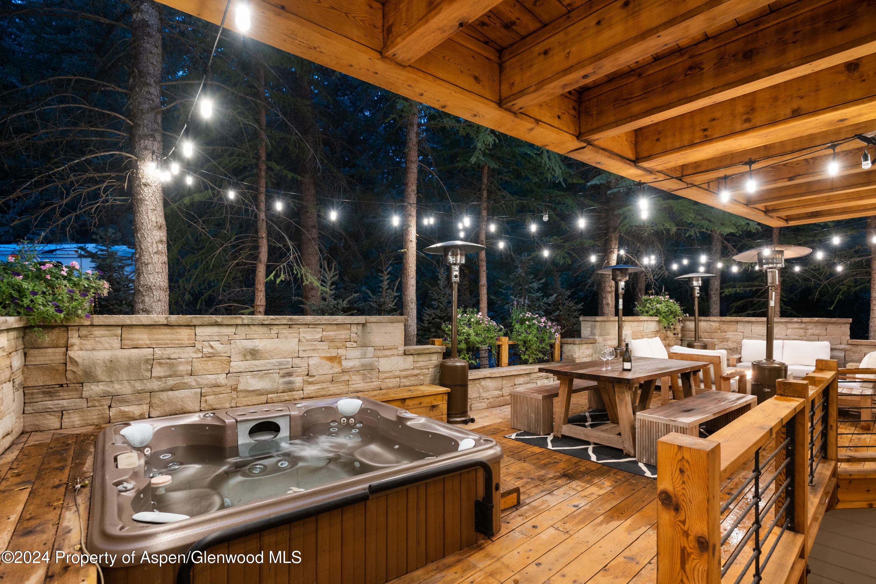 901 Ute Avenue, Aspen, CO 81611 - Photo 40