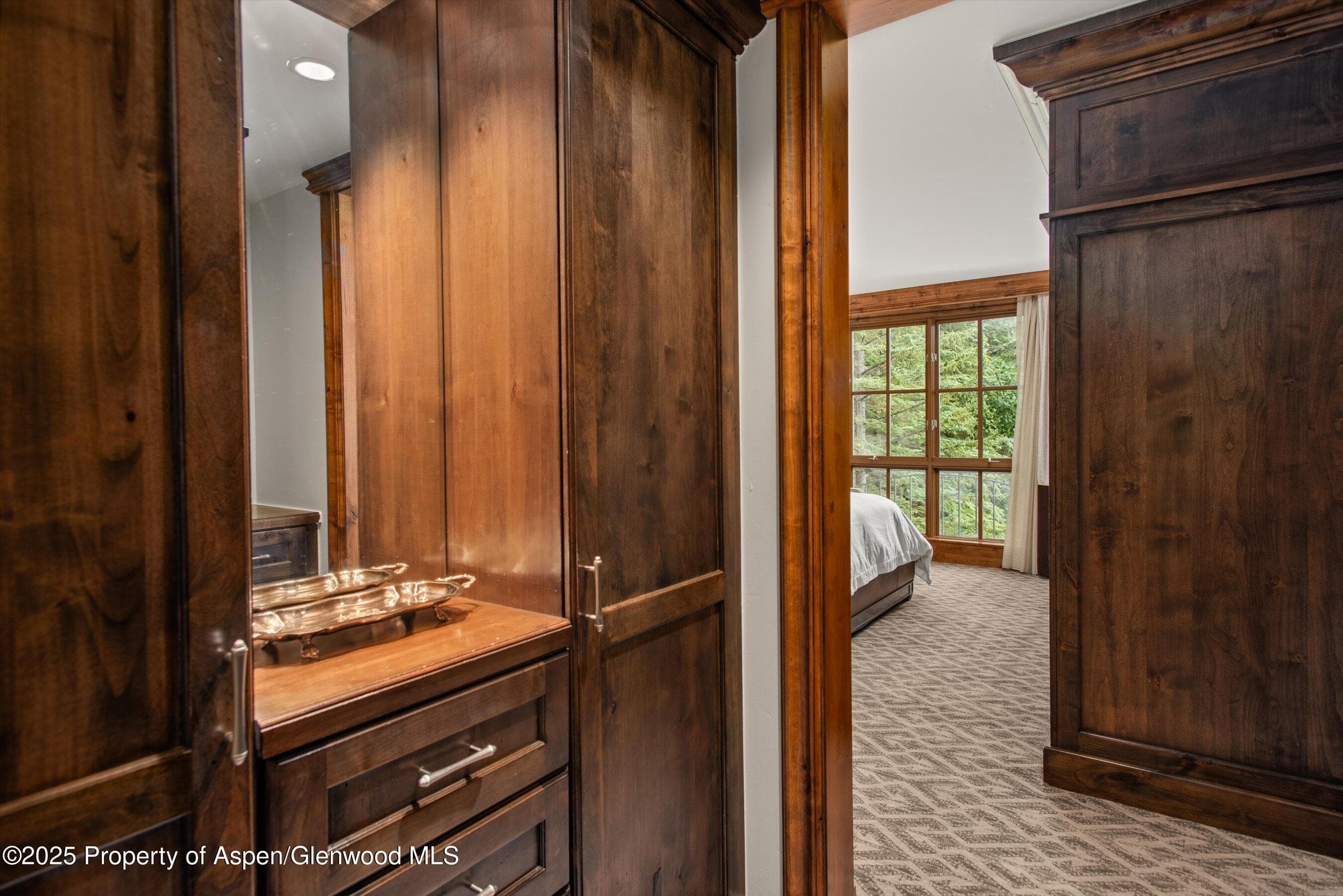 315 E Dean Street B21-E7, Aspen, CO 81611 - Photo 11