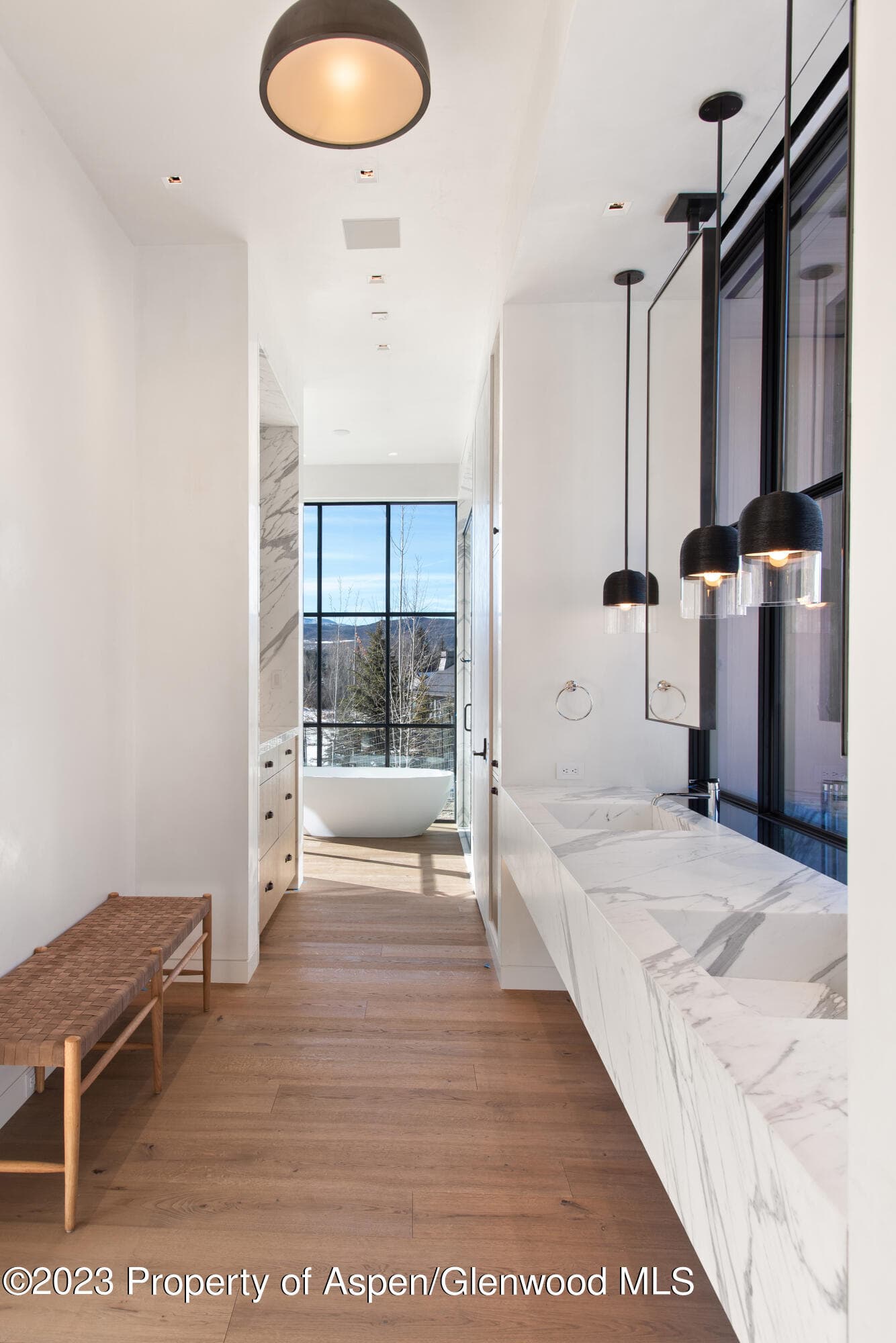 173 Slalom Path, Aspen, CO 81611 - Photo 15
