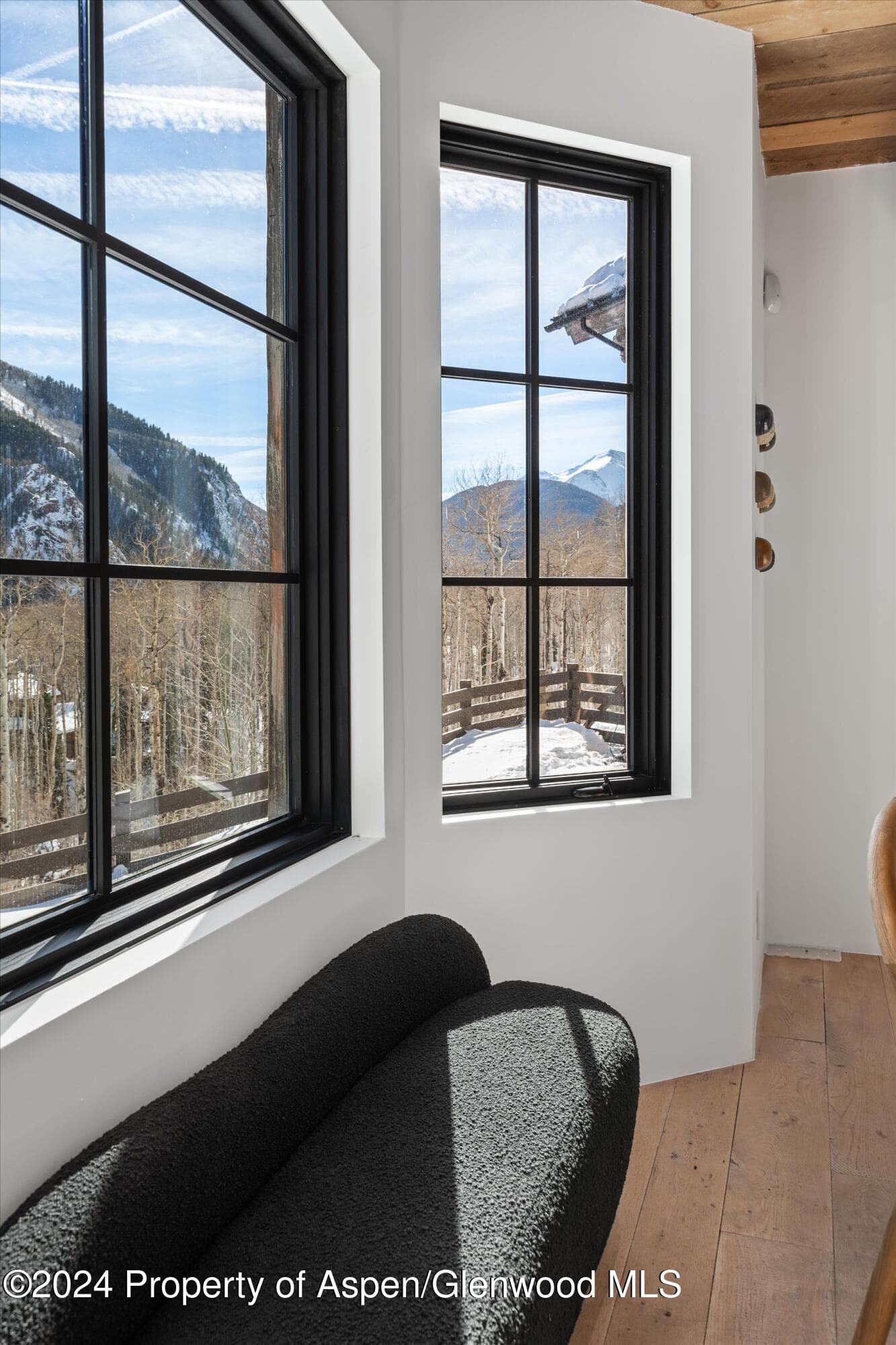 931 N Hayden Road, Aspen, CO 81611 - Photo 14