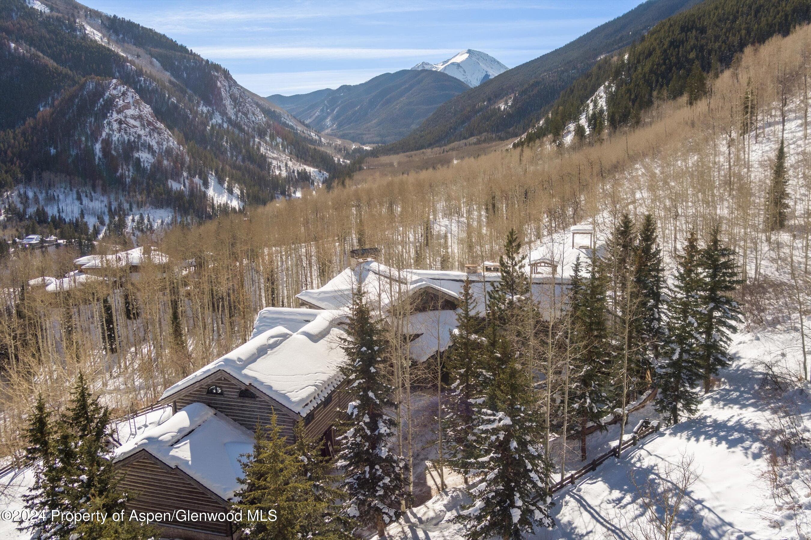 931 N Hayden Road, Aspen, CO 81611 - Photo 53