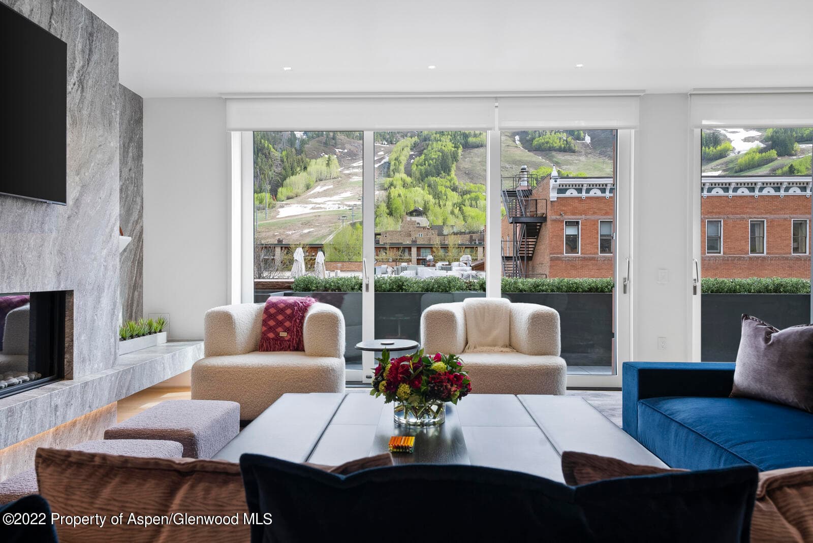 508 E Cooper Avenue Unit 201, Aspen, CO 81611 - Photo 5