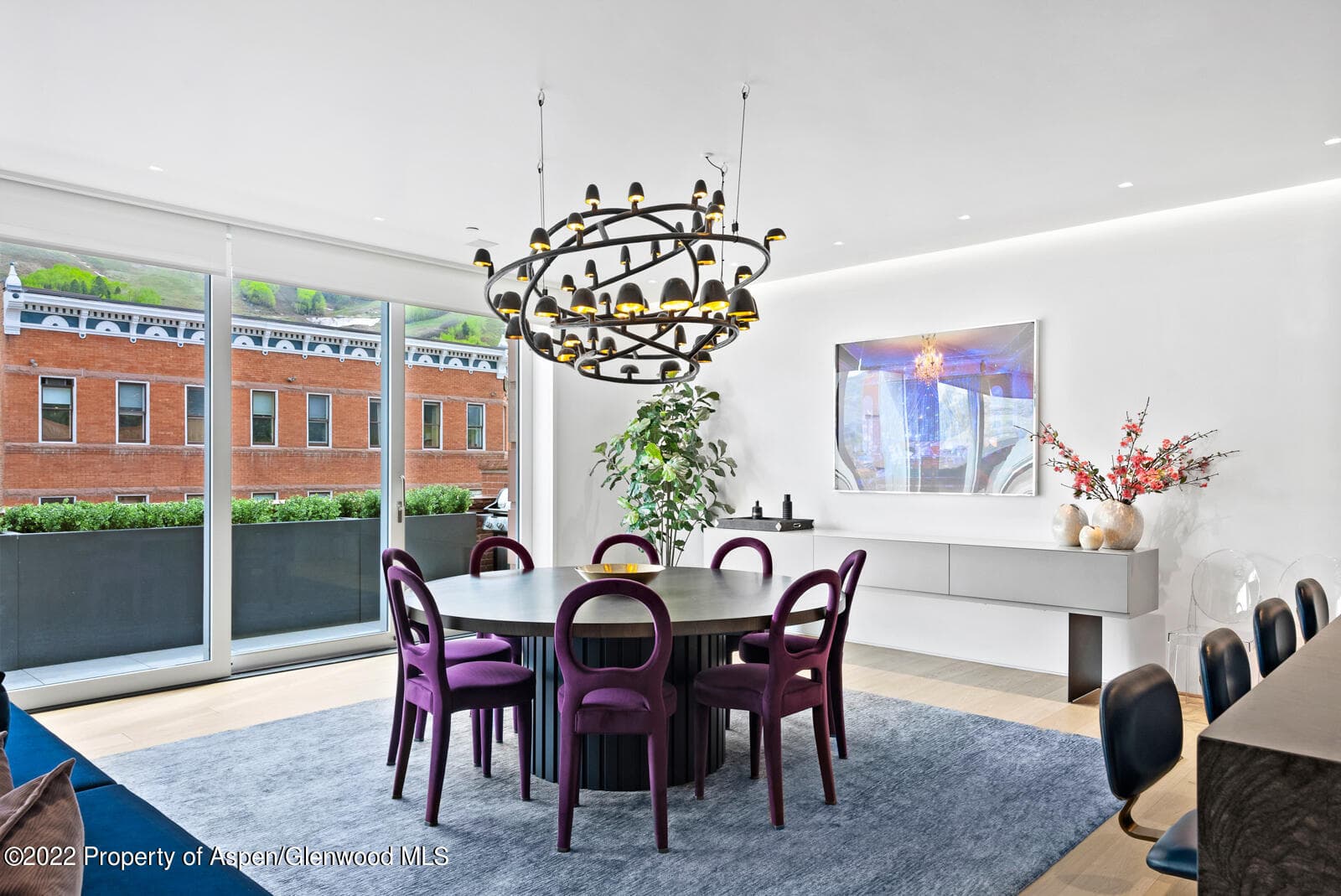 508 E Cooper Avenue Unit 201, Aspen, CO 81611 - Photo 14