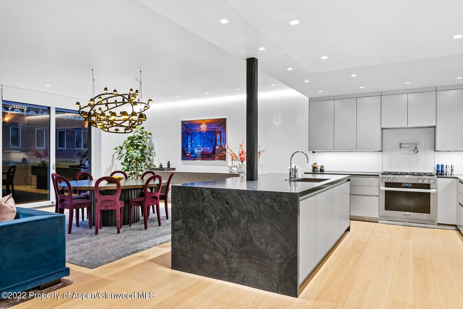 508 E Cooper Avenue Unit 201, Aspen, CO 81611 - Photo 17