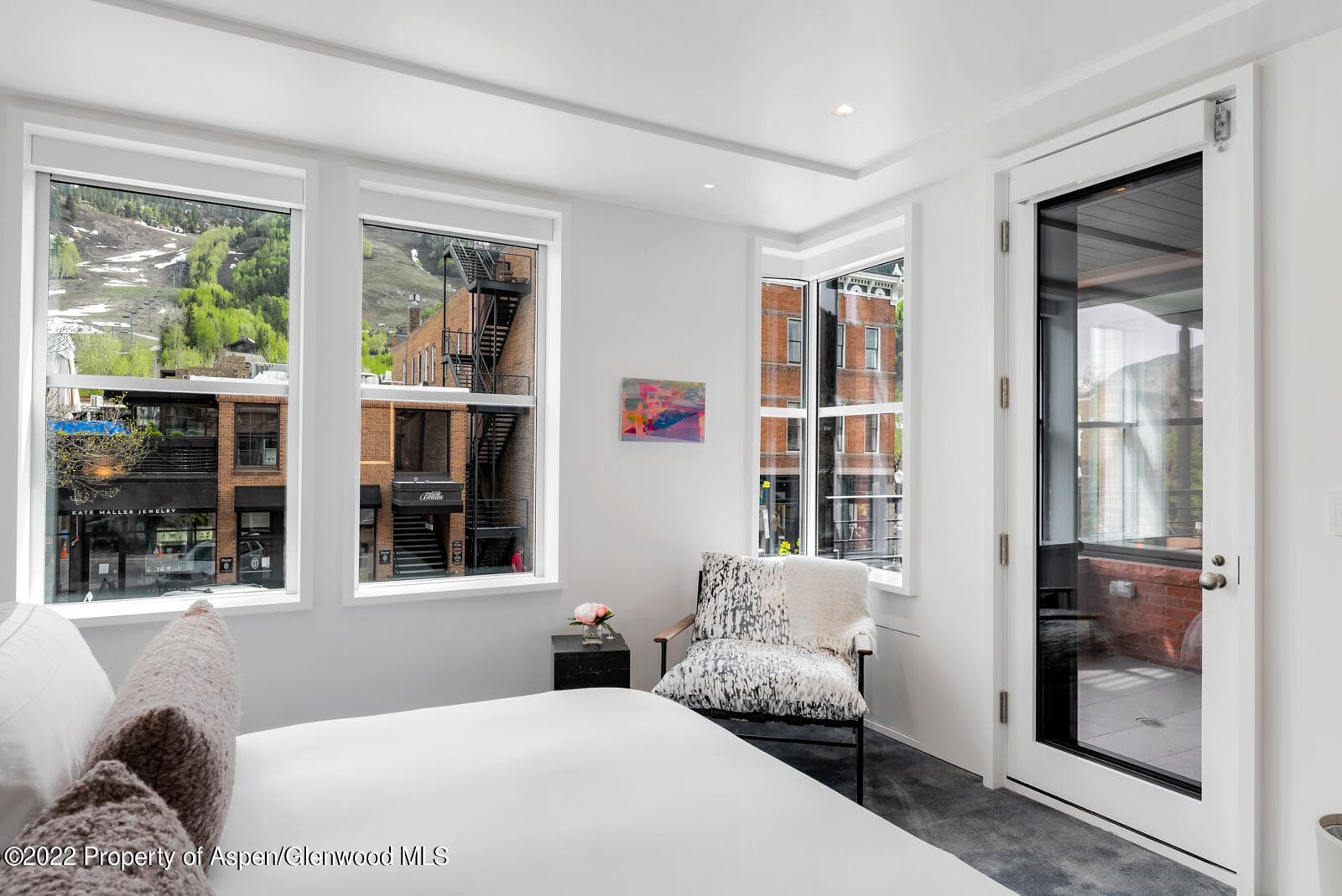 508 E Cooper Avenue Unit 201, Aspen, CO 81611 - Photo 29
